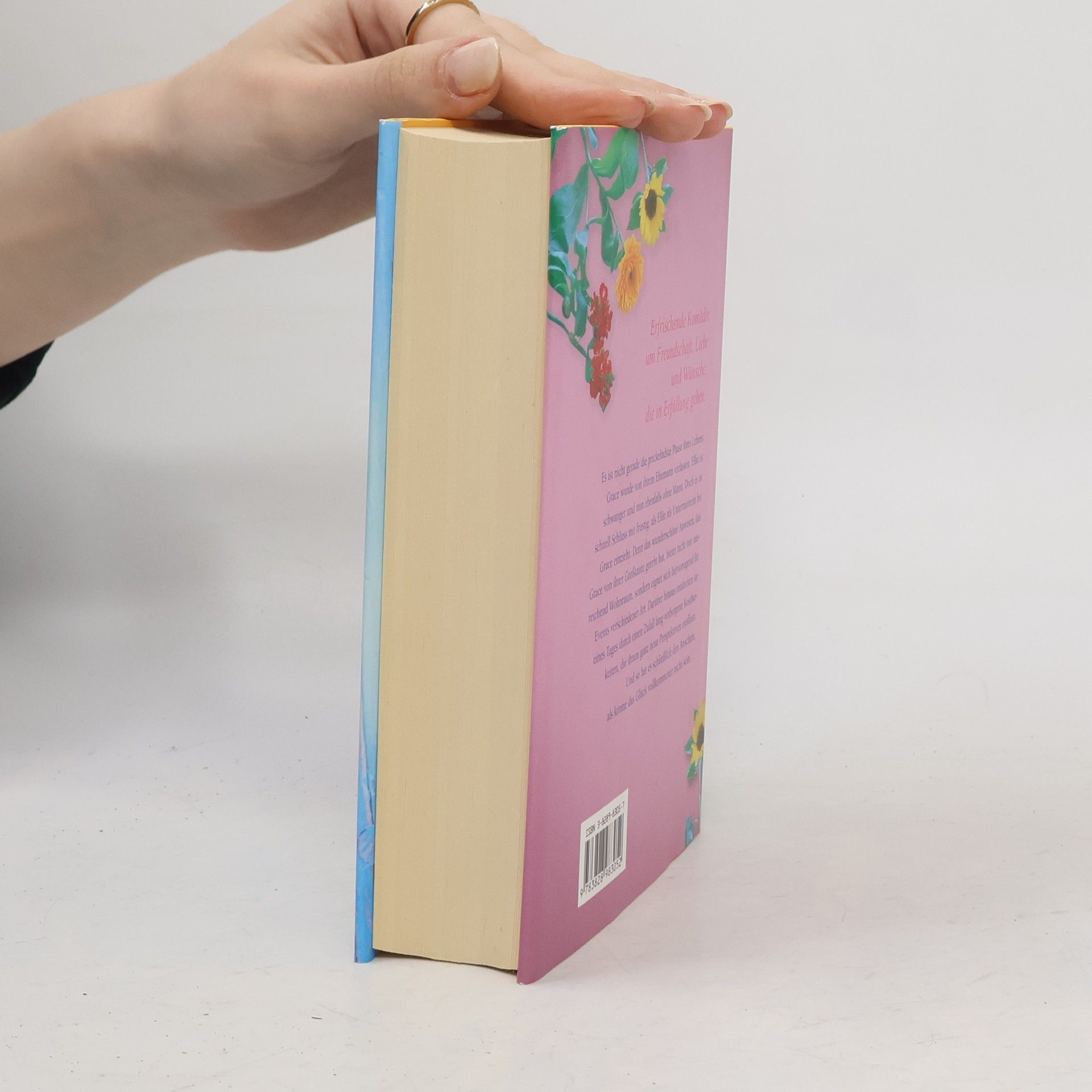 Katie Fforde Festtagsstimmung