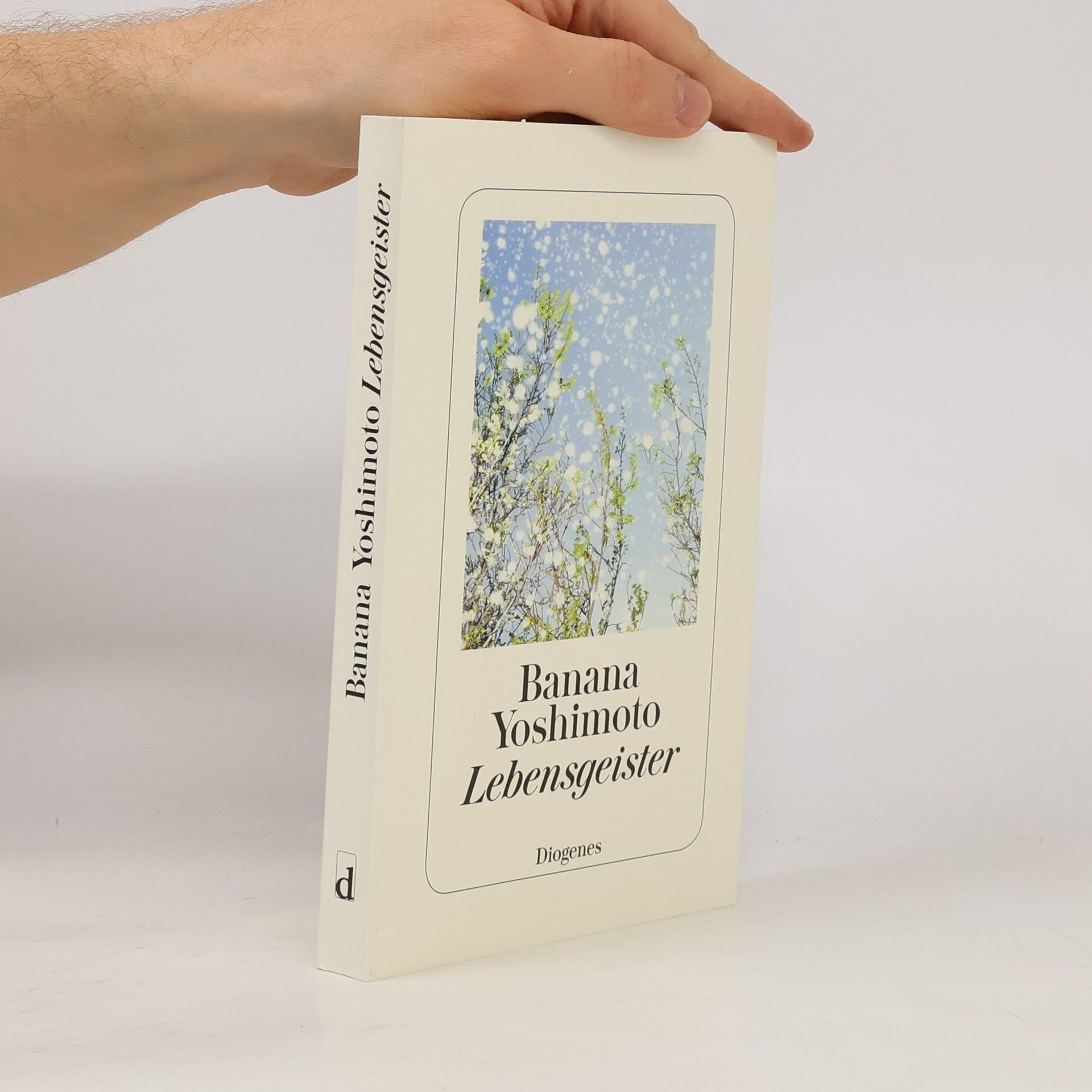 Banana Yoshimoto Lebensgeister