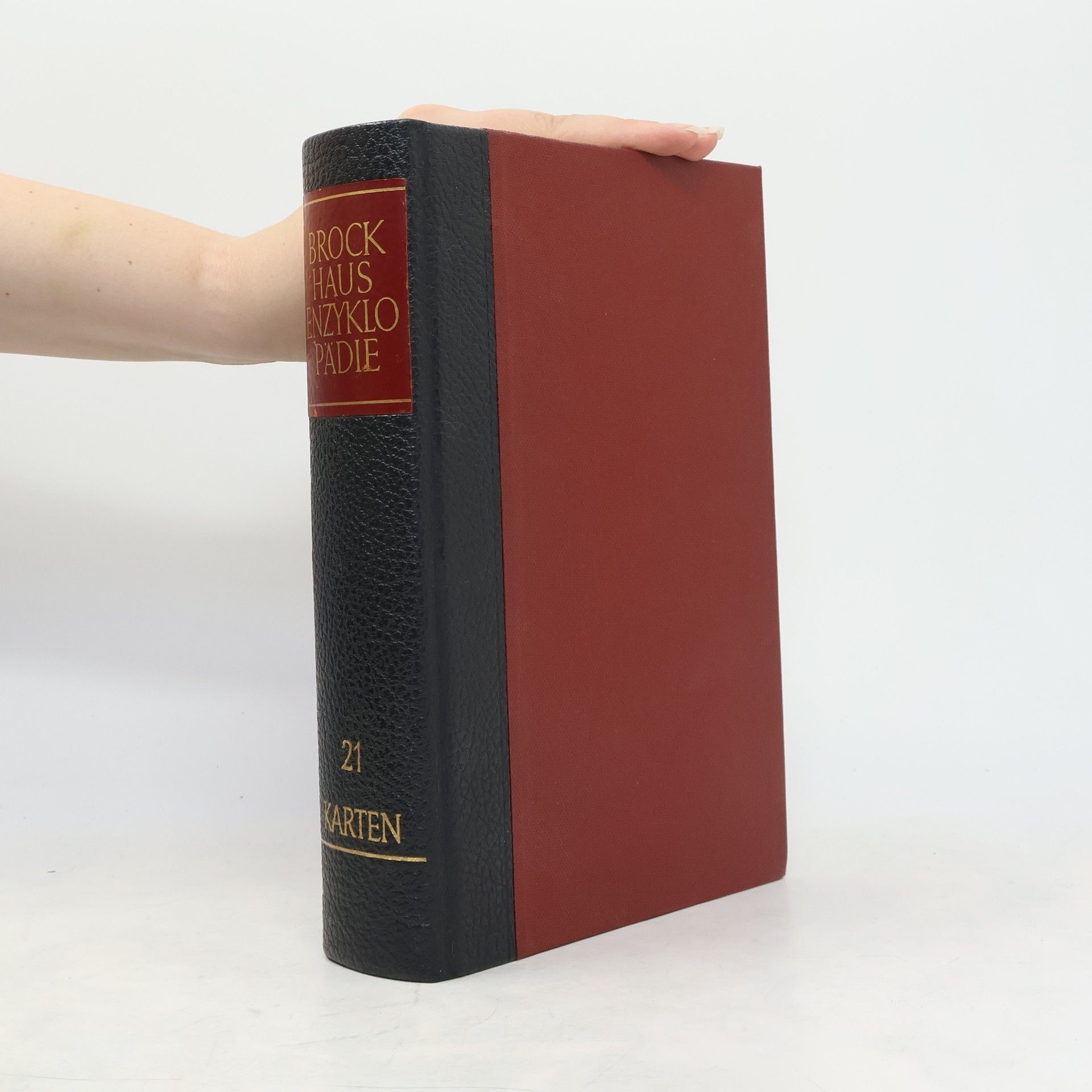 Autorenkollektiv Brockhaus-Enzyklopädie 21. Karten