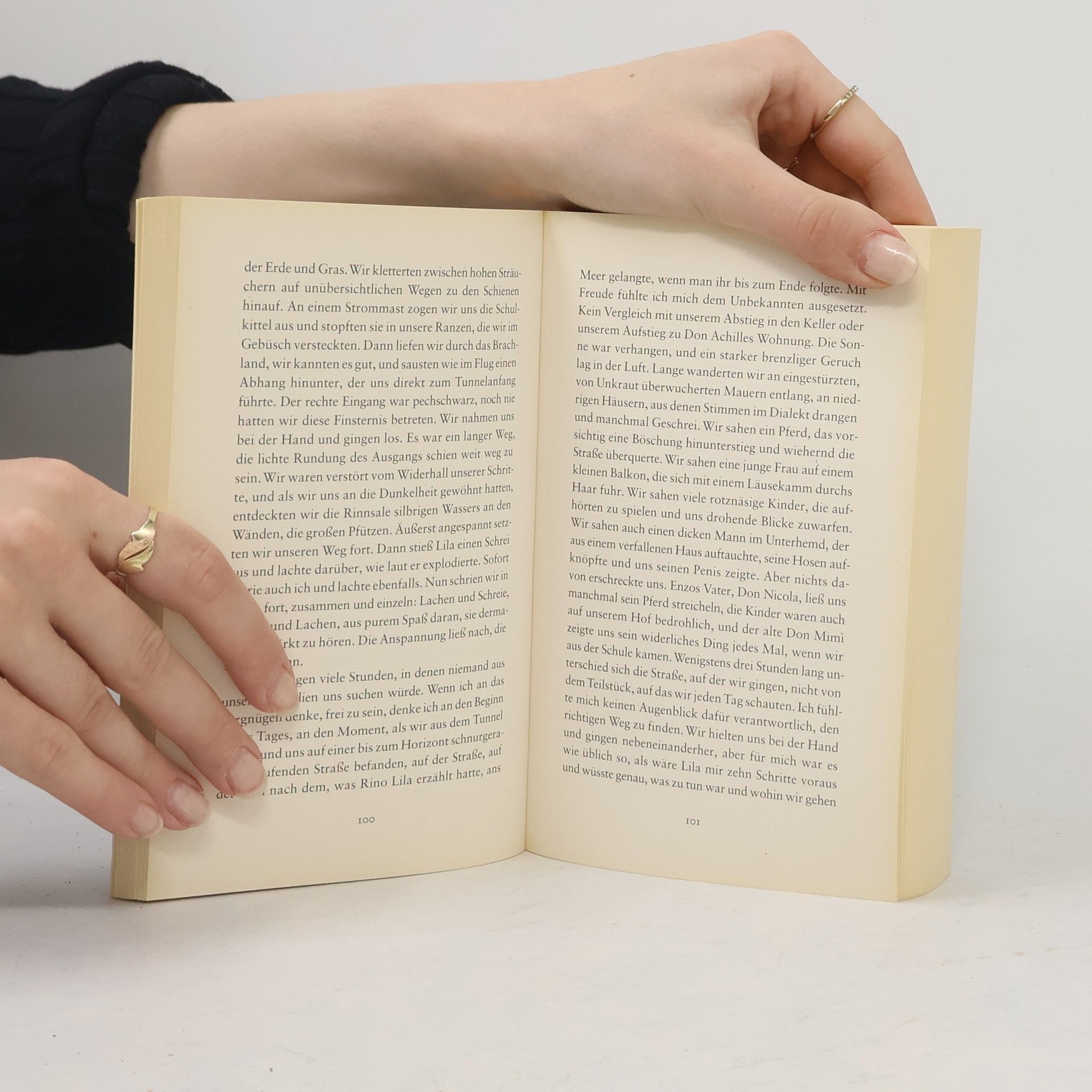 Elena Ferrante Meine geniale Freundin