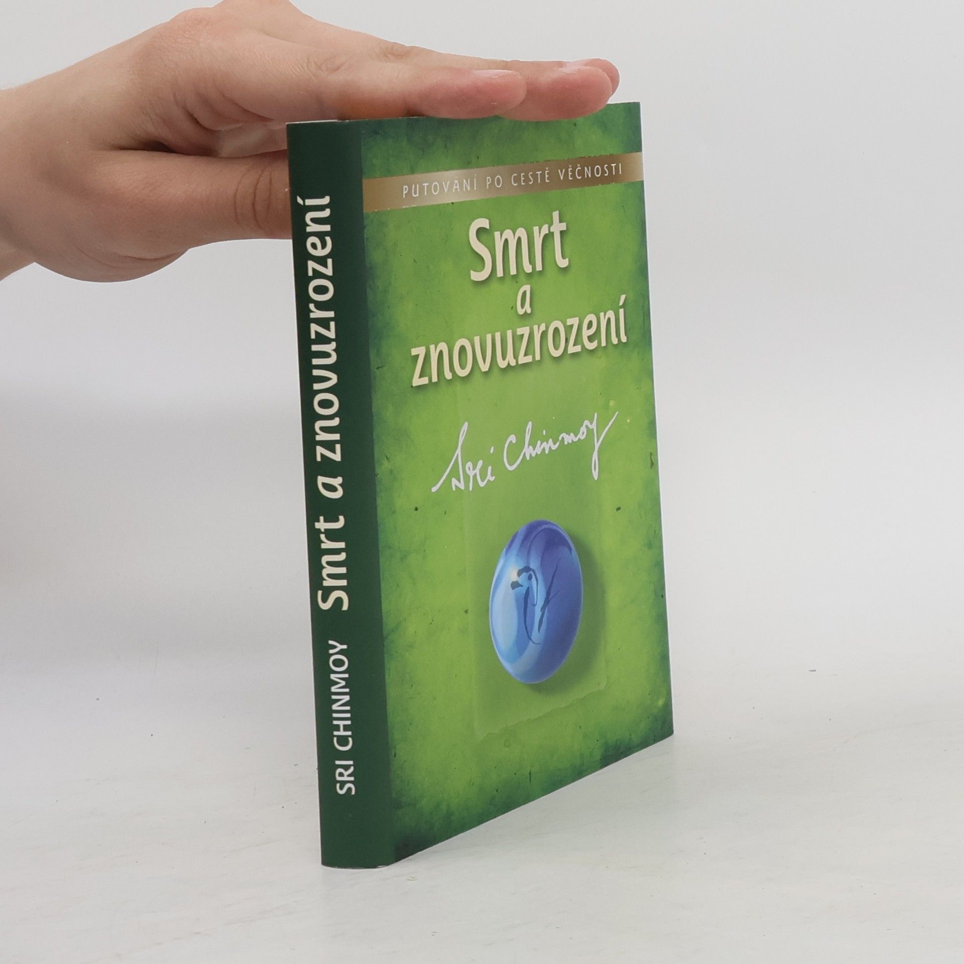 Sri Chinmoy Smrt a znovuzrození: putování po cestě věčnosti