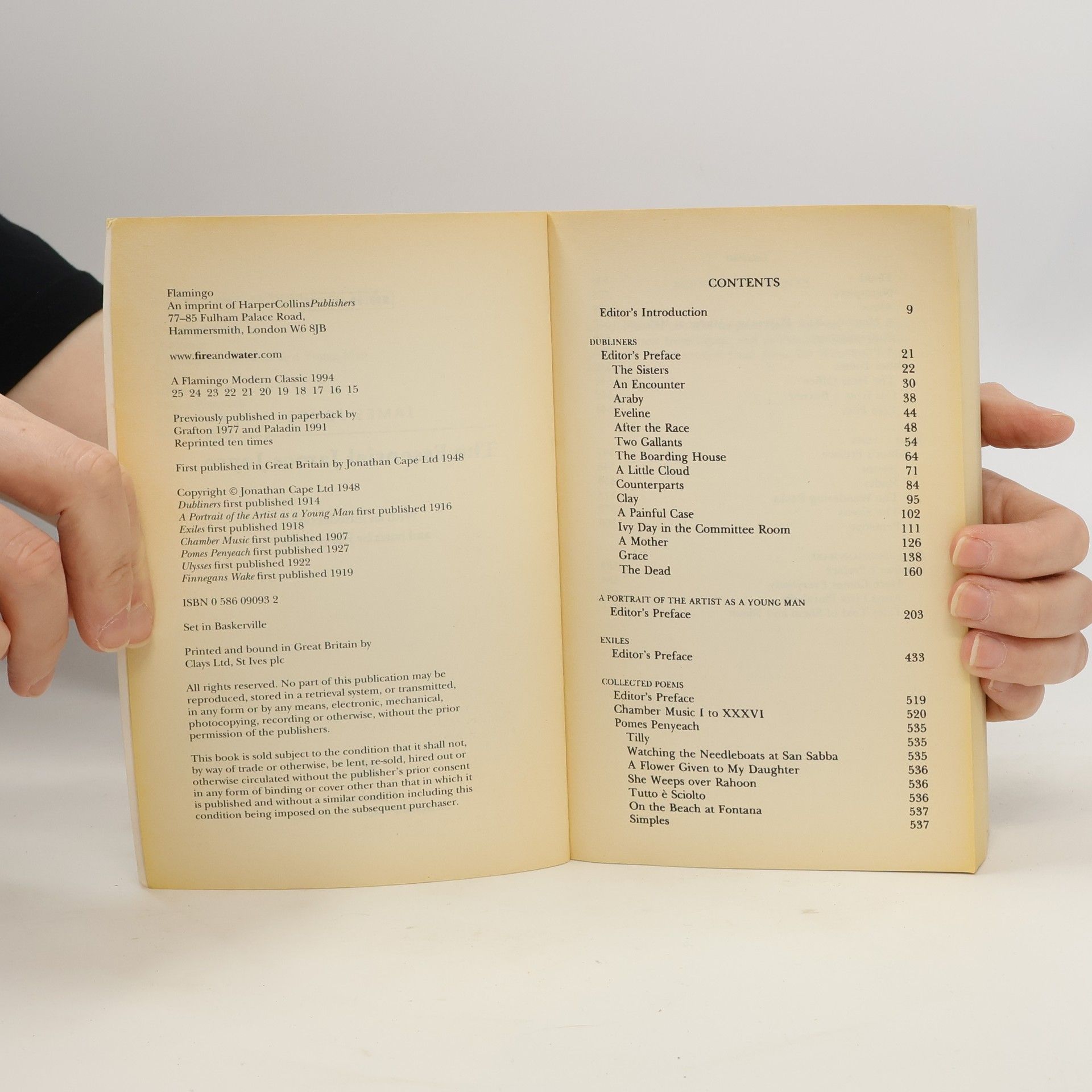 James Joyce Modern Classic: The Essential James Joyce
