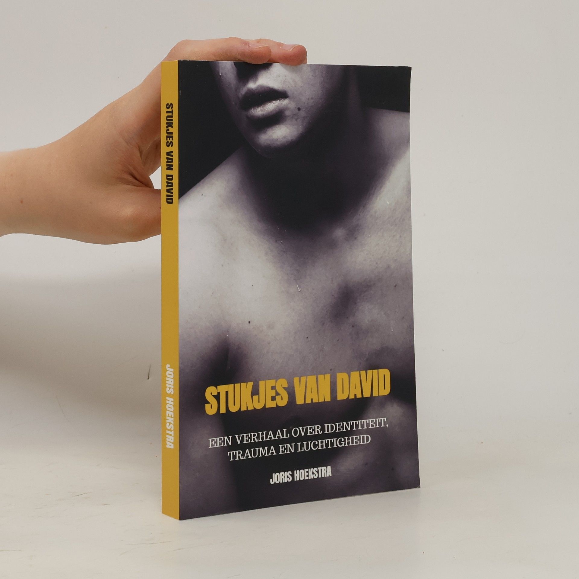 Joris Sytse Christiaan Maria Hoekstra Stukjes van David