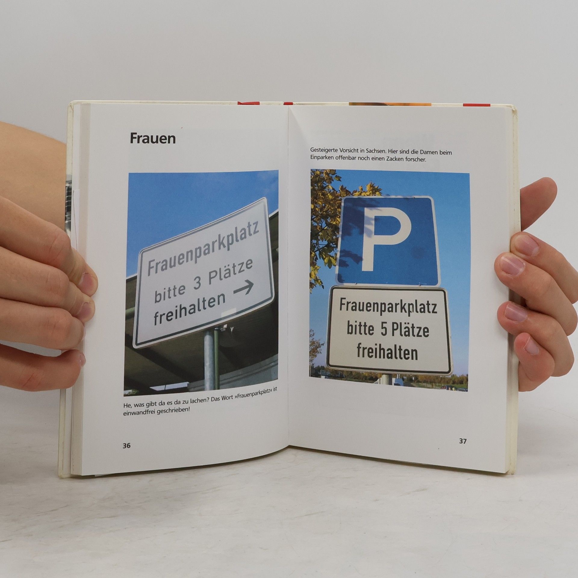 Bastian Sick Happy Aua : ein Bilderbuch aus dem Irrgarten der deutschen Sprache
