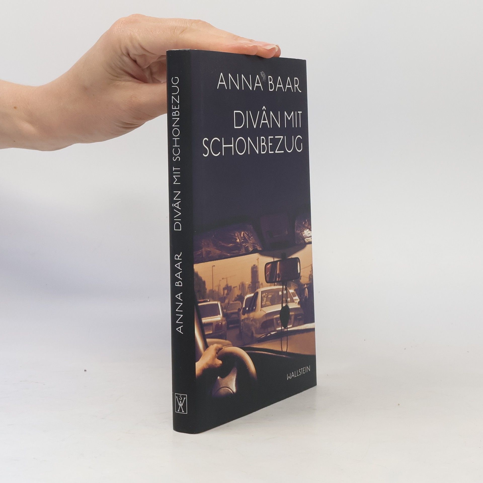 Anna Baar Divân mit Schonbezug