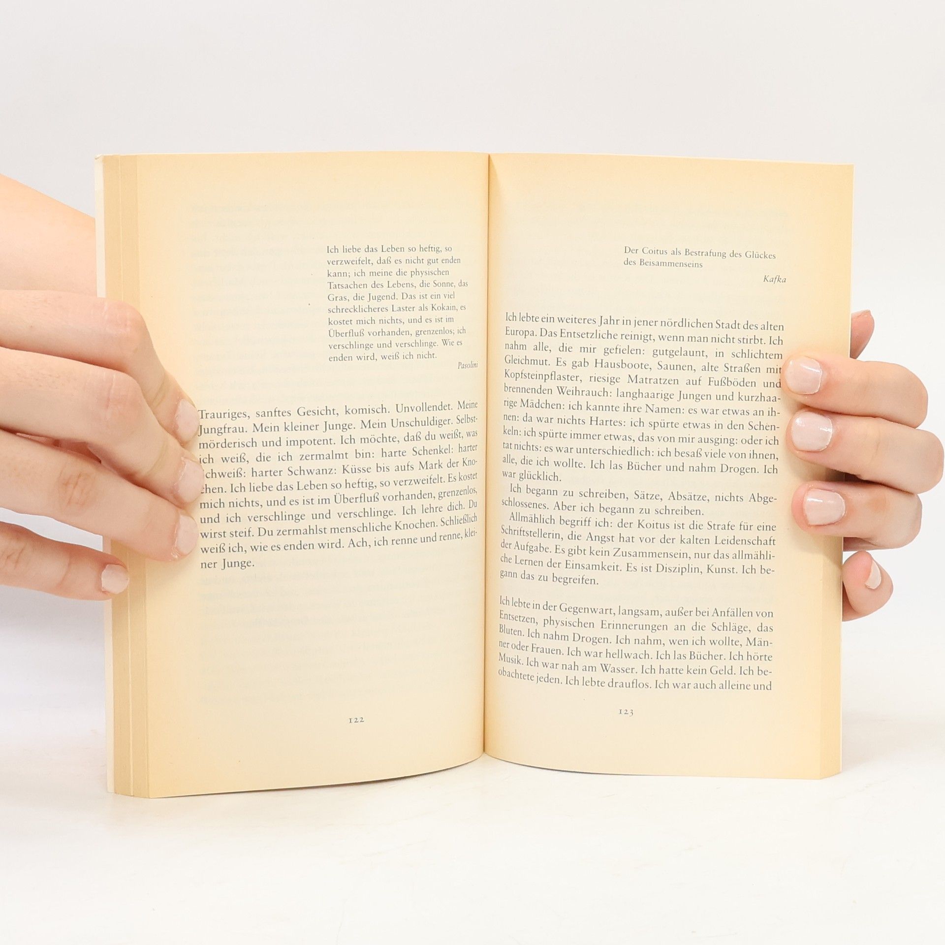 Andrea Dworkin Eis & Feuer