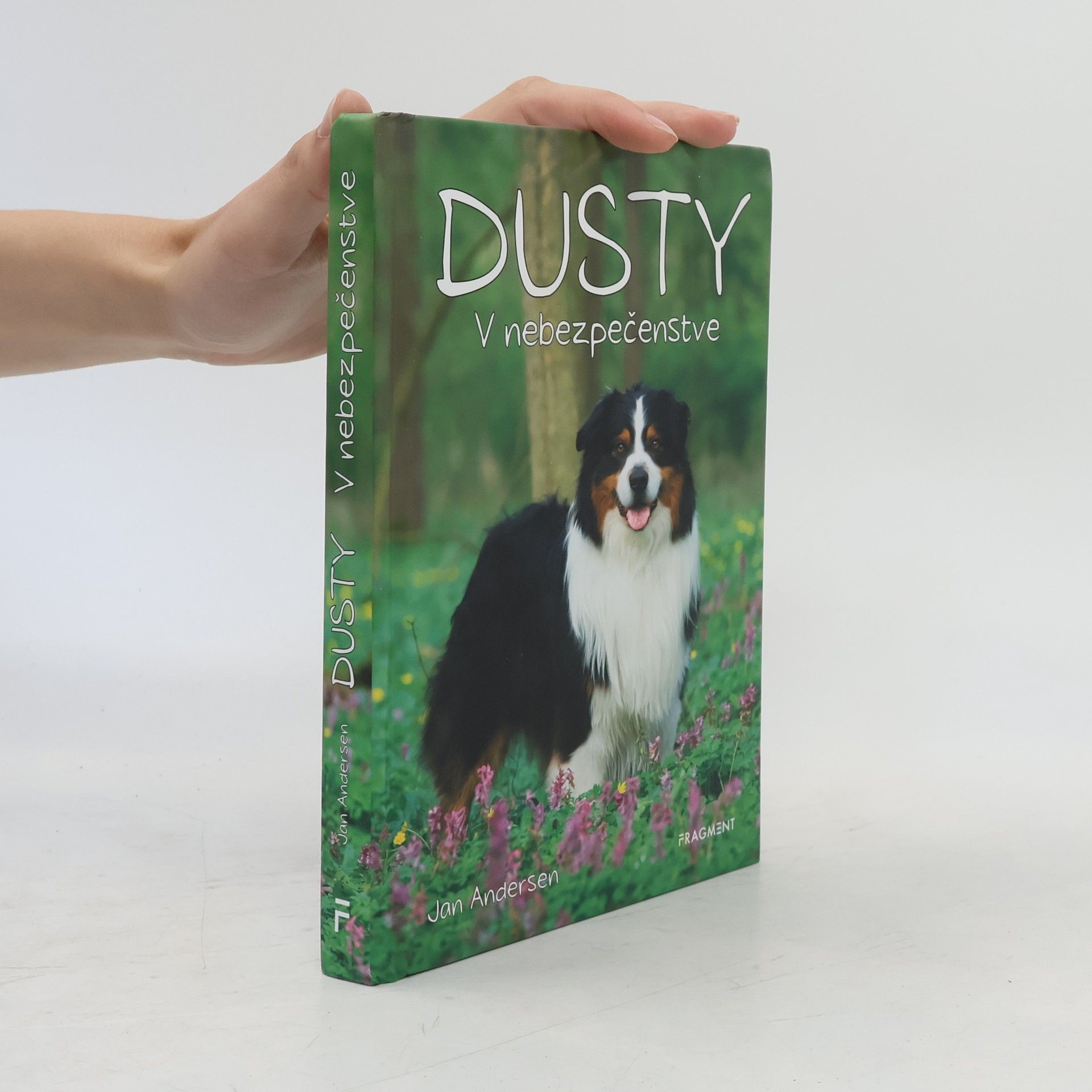 Wolfram Hänel Dusty - V nebezpečenstve