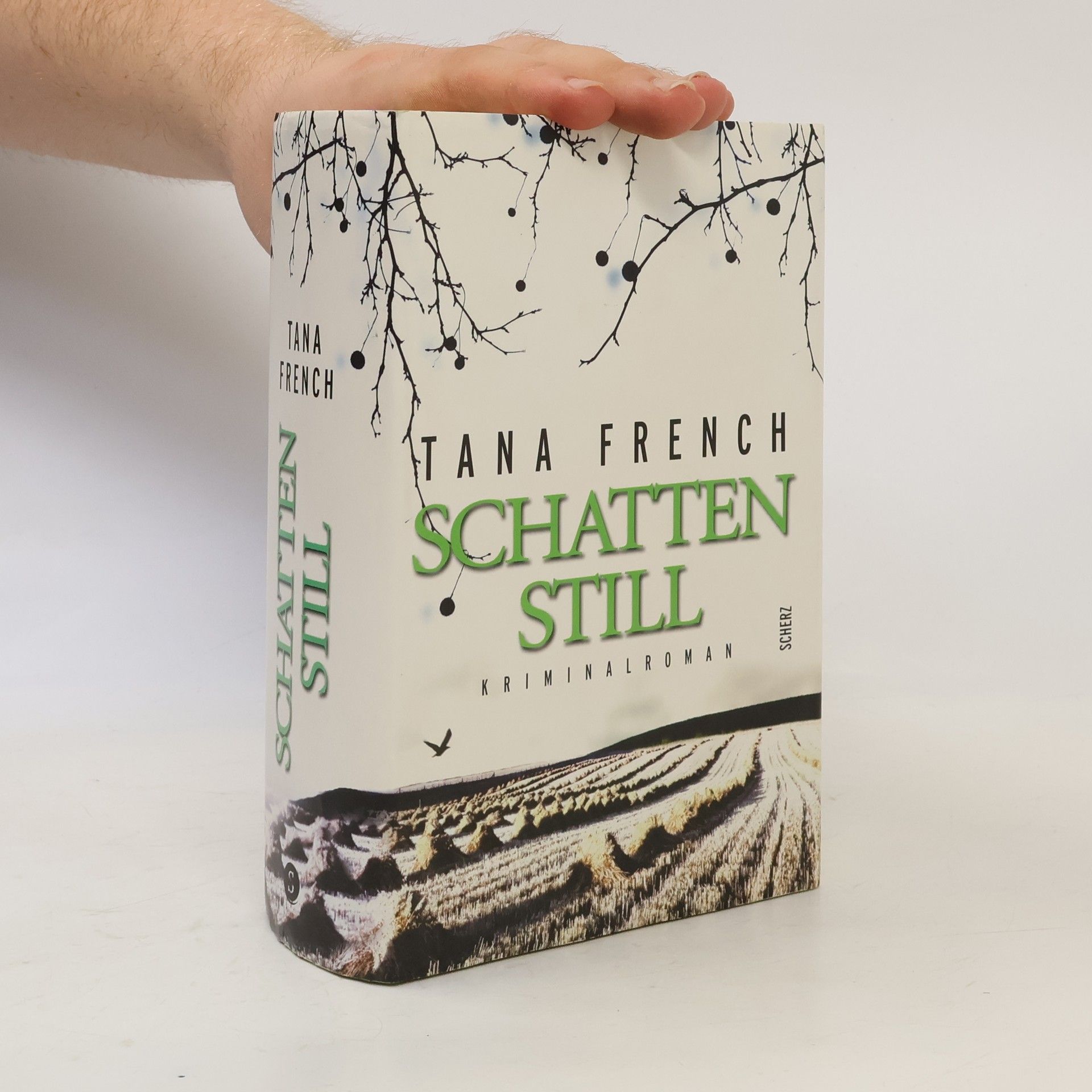 Tana French Schattenstill