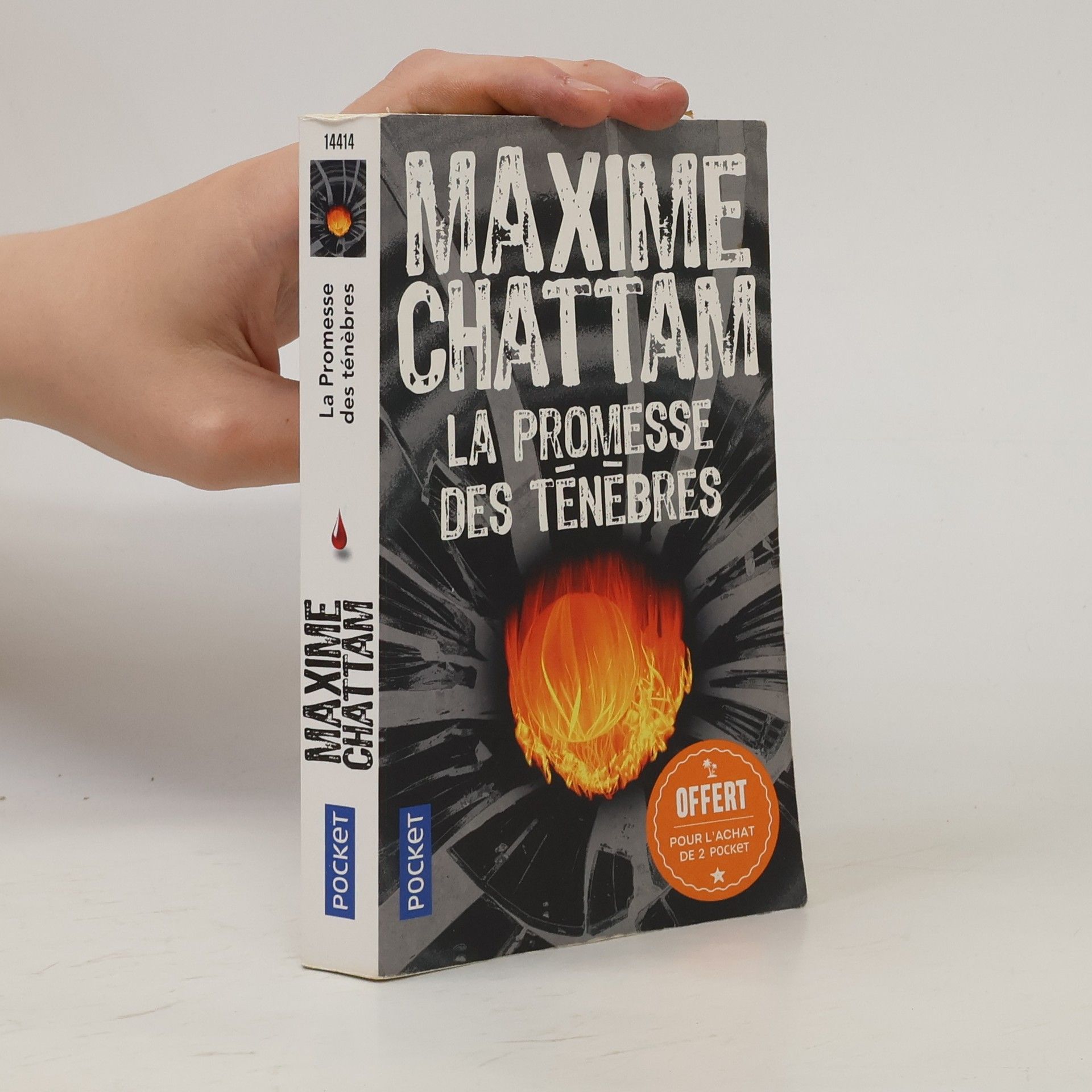 Maxime Chattam La Promesse des ténèbres