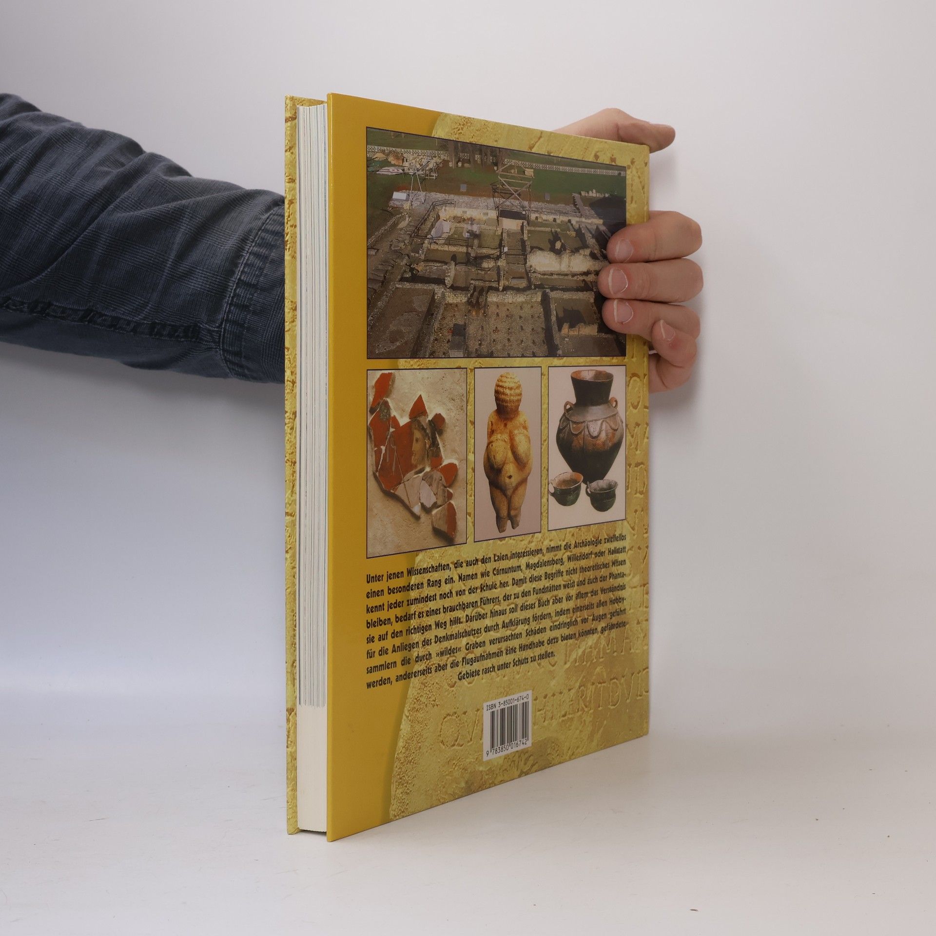 Lothar Beckel Archäologie in Österreich