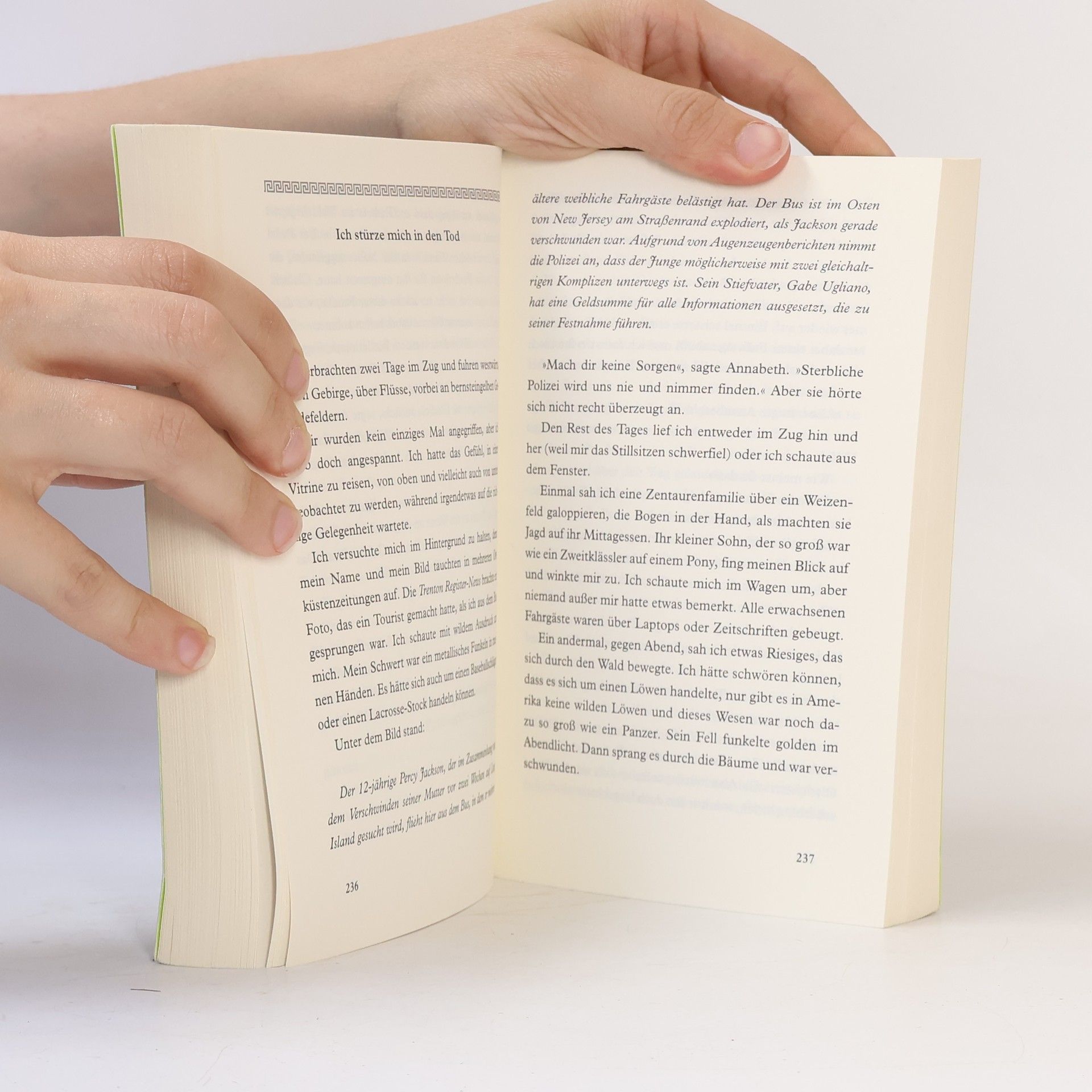 Rick Riordan Percy Jackson: Diebe im Olymp
