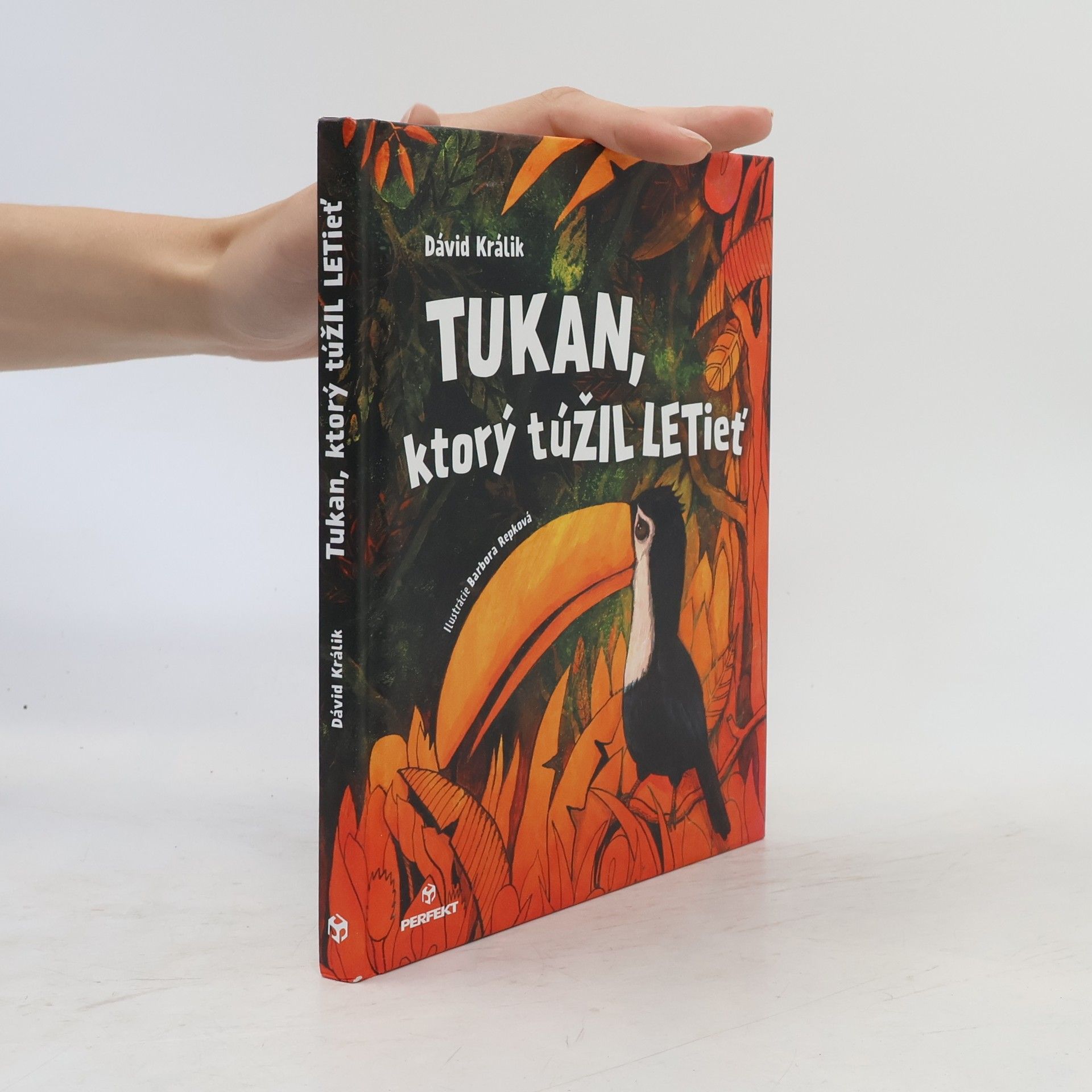 Dávid Králik Tukan, ktorý túžil letieť