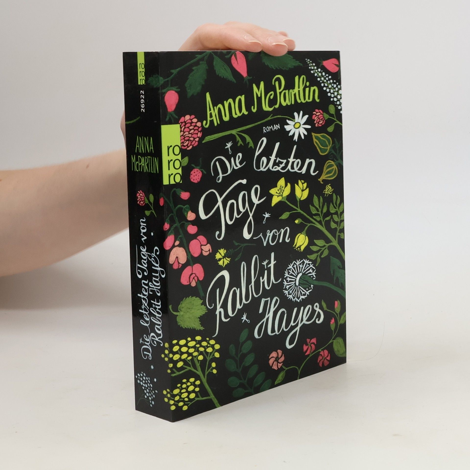 Anna Mc Partlin Die letzten Tage von Rabbit Hayes