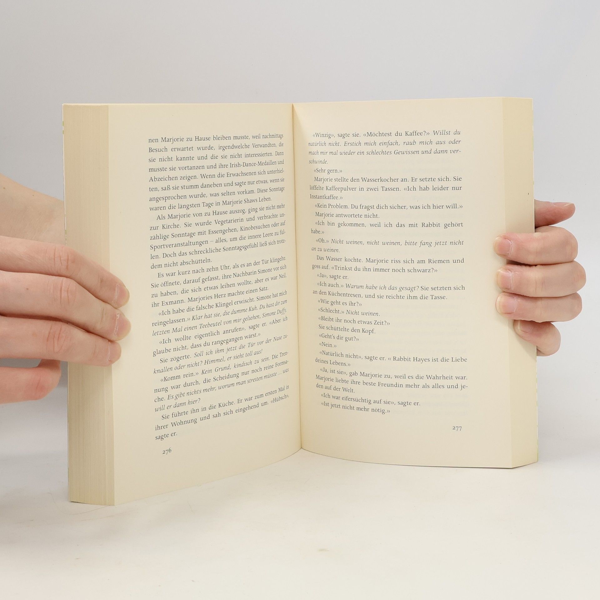Anna Mc Partlin Die letzten Tage von Rabbit Hayes