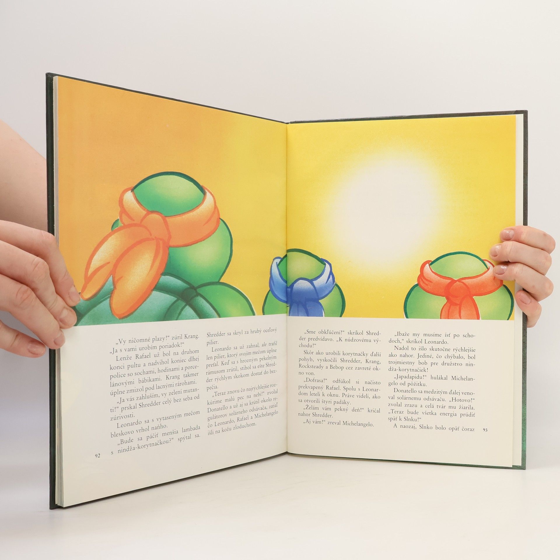 Maureen Spurgeon Turtles - Hrdinovia z podsvetia
