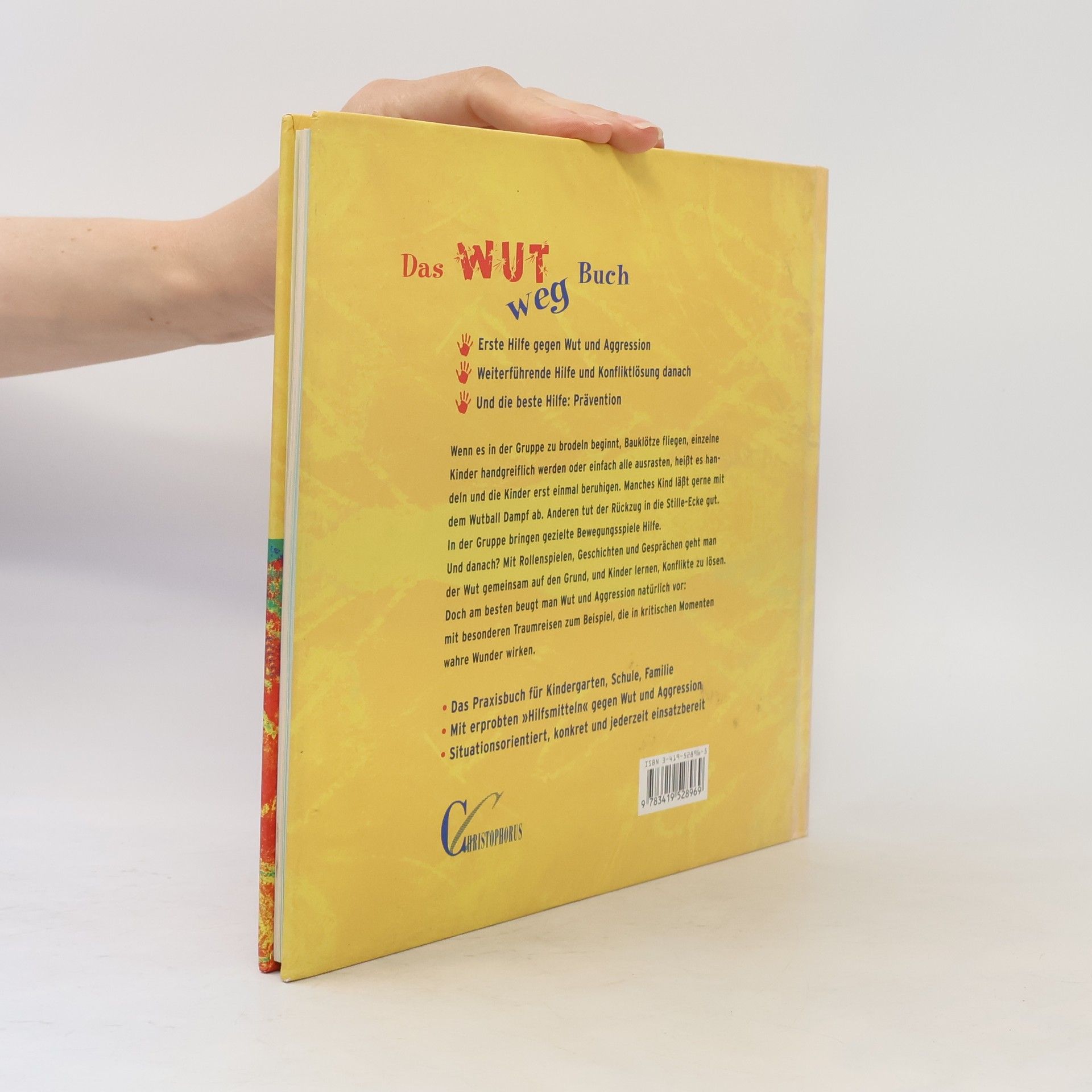 Thomas O. H. Kaiser Das Wut Weg Buch