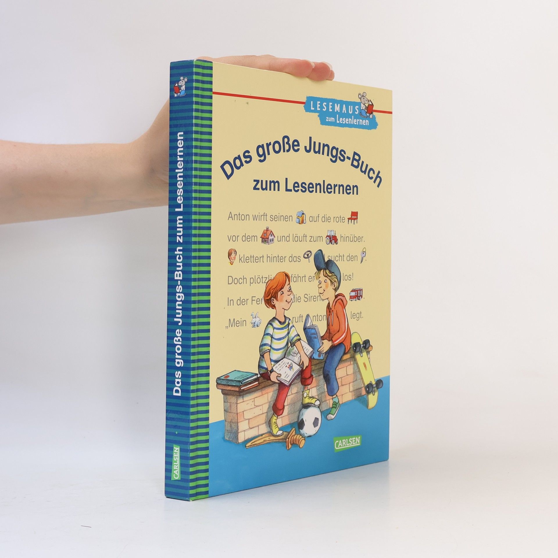 Christa Holtei Das große Jungs-Buch zum Lesenlernen