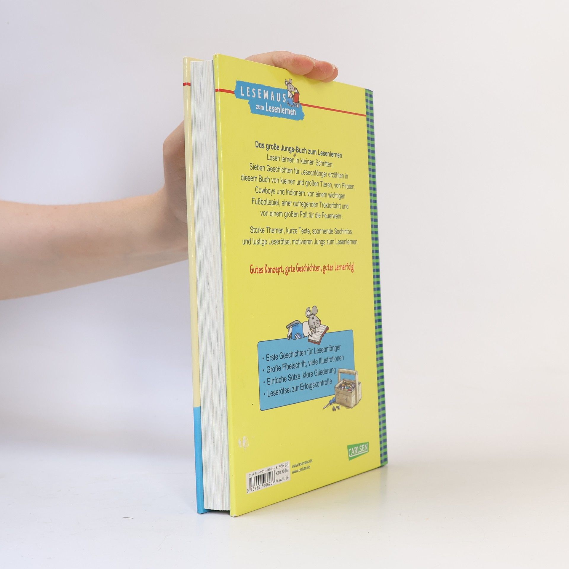 Christa Holtei Das große Jungs-Buch zum Lesenlernen