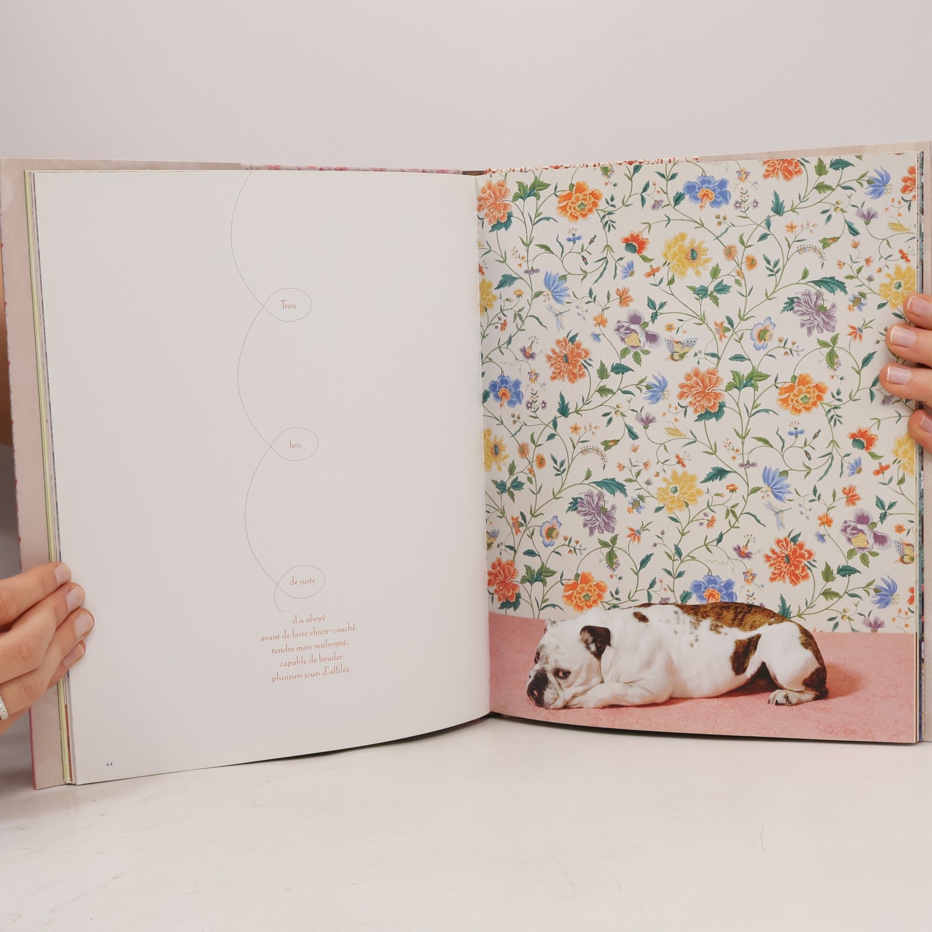 Catherine Ledner La Vie en Rose: Portraits d'animaux
