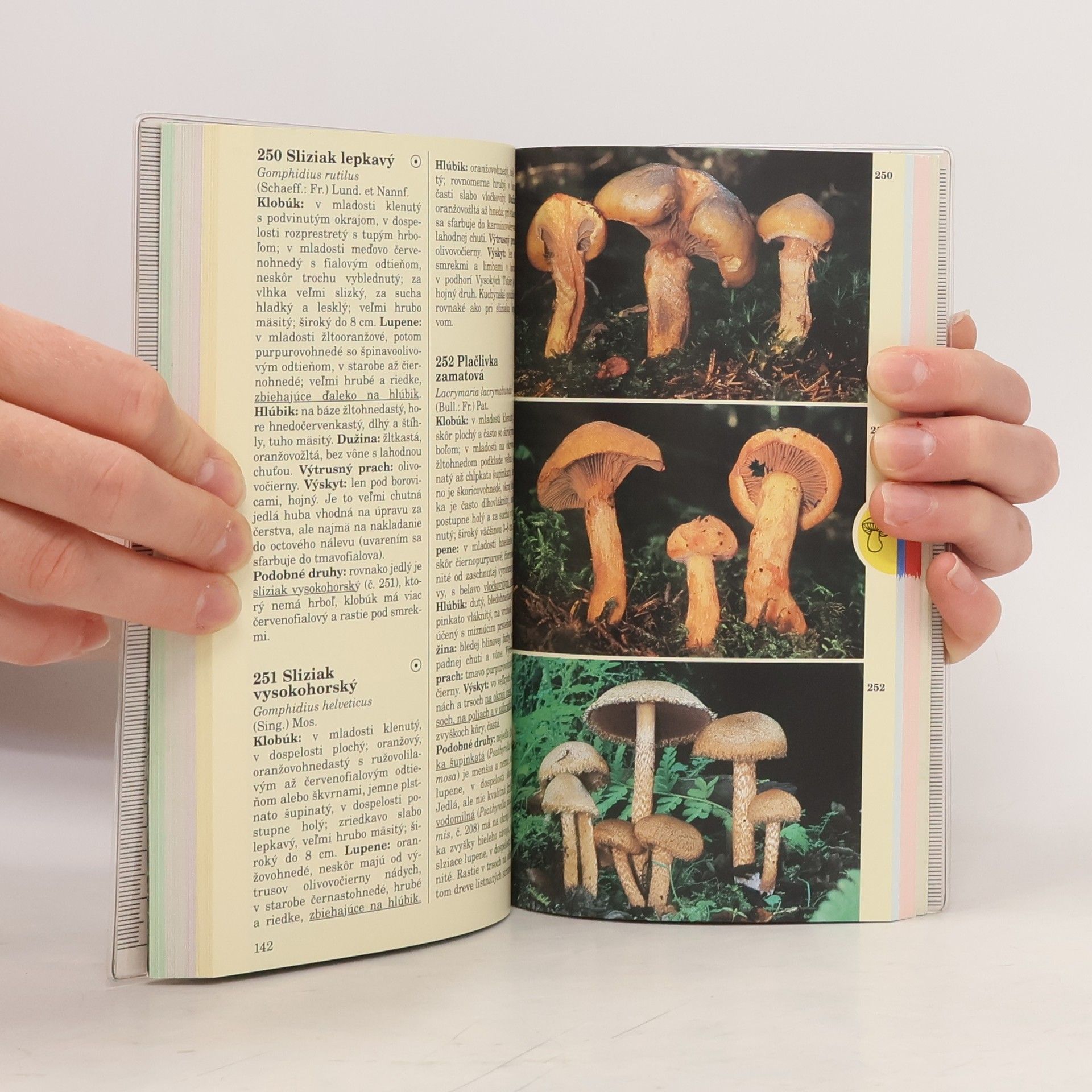 Edmund Garnweidner Huby - vreckový atlas