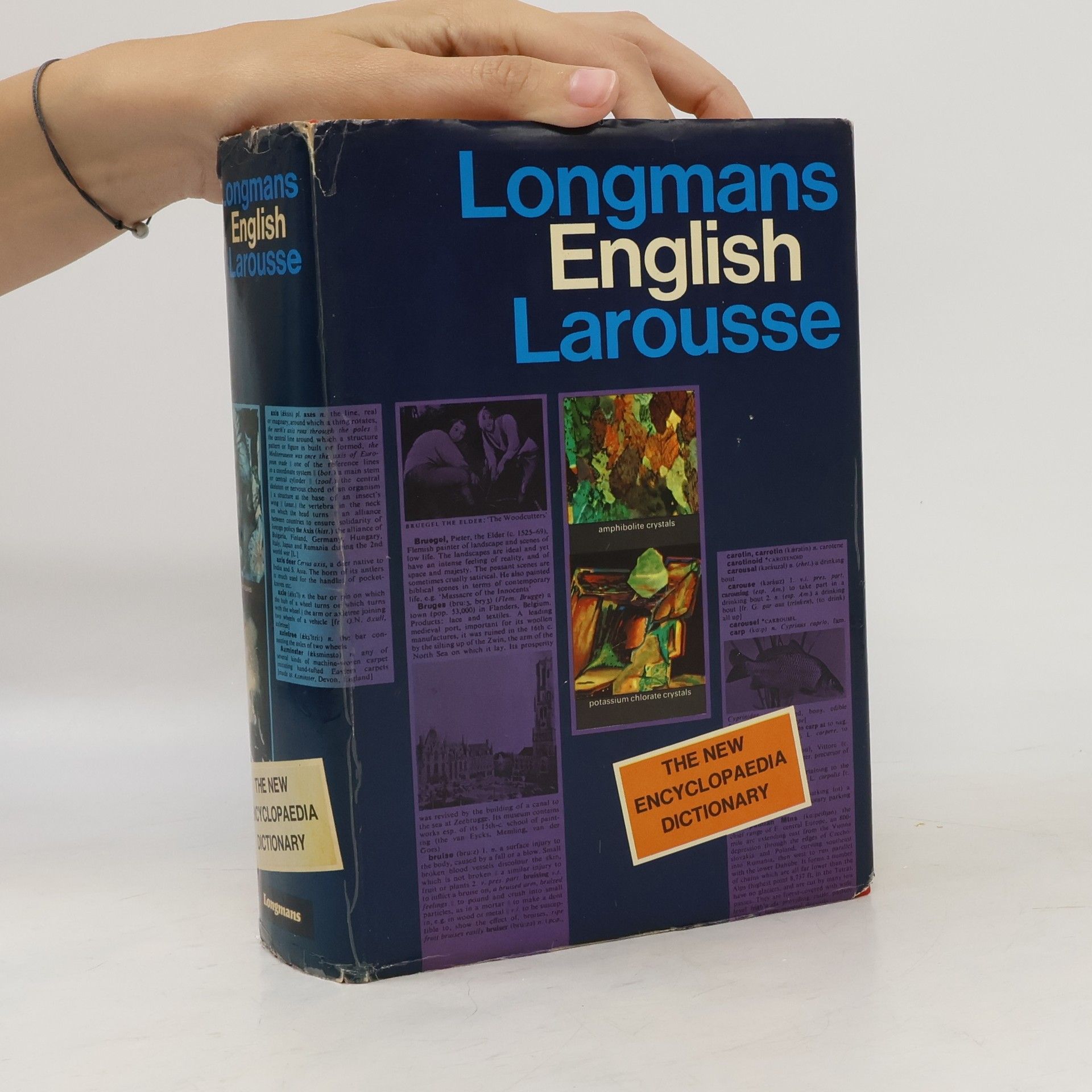 Autorenkollektiv Longmans English Larousse