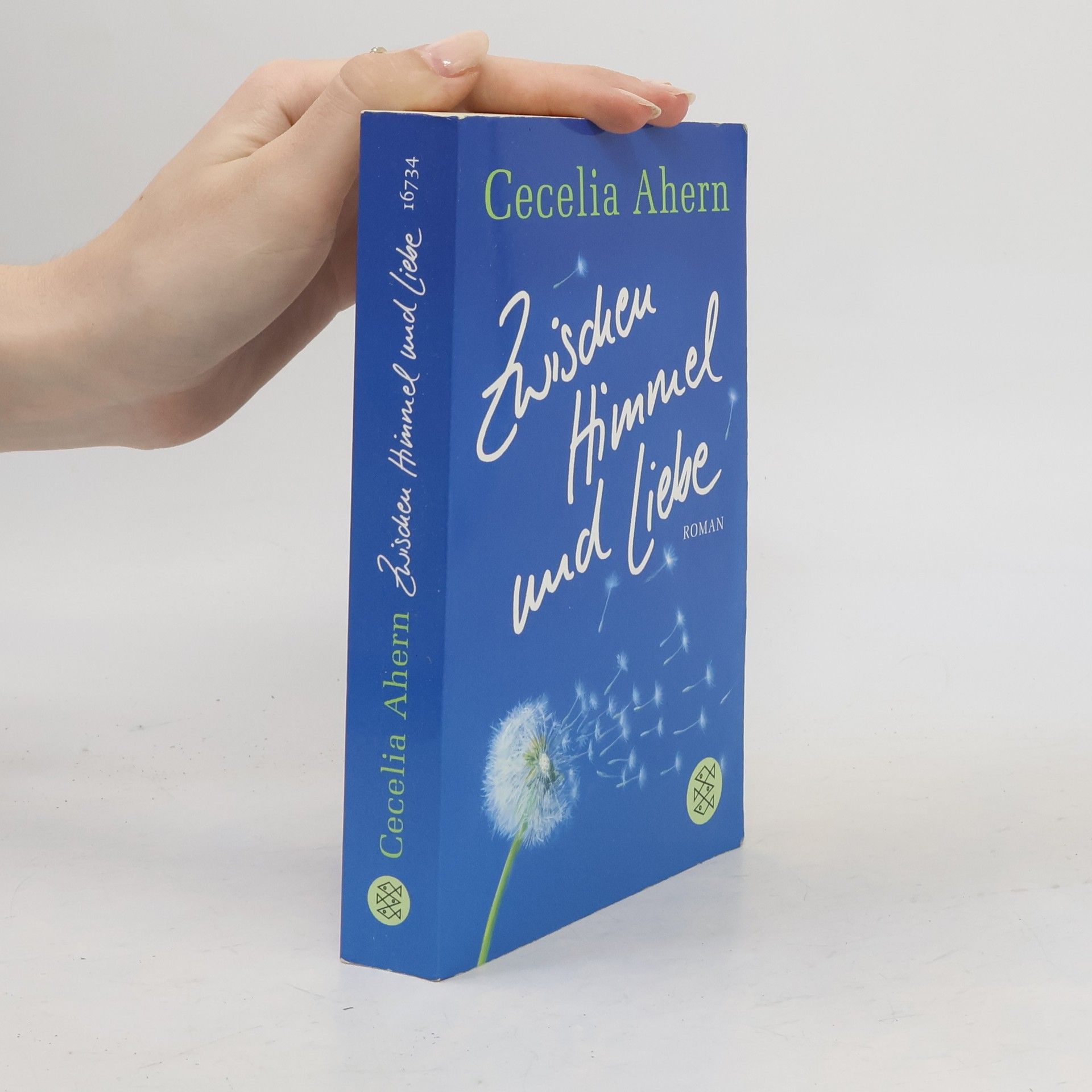 Cecelia Ahern Zwischen Himmel und Liebe