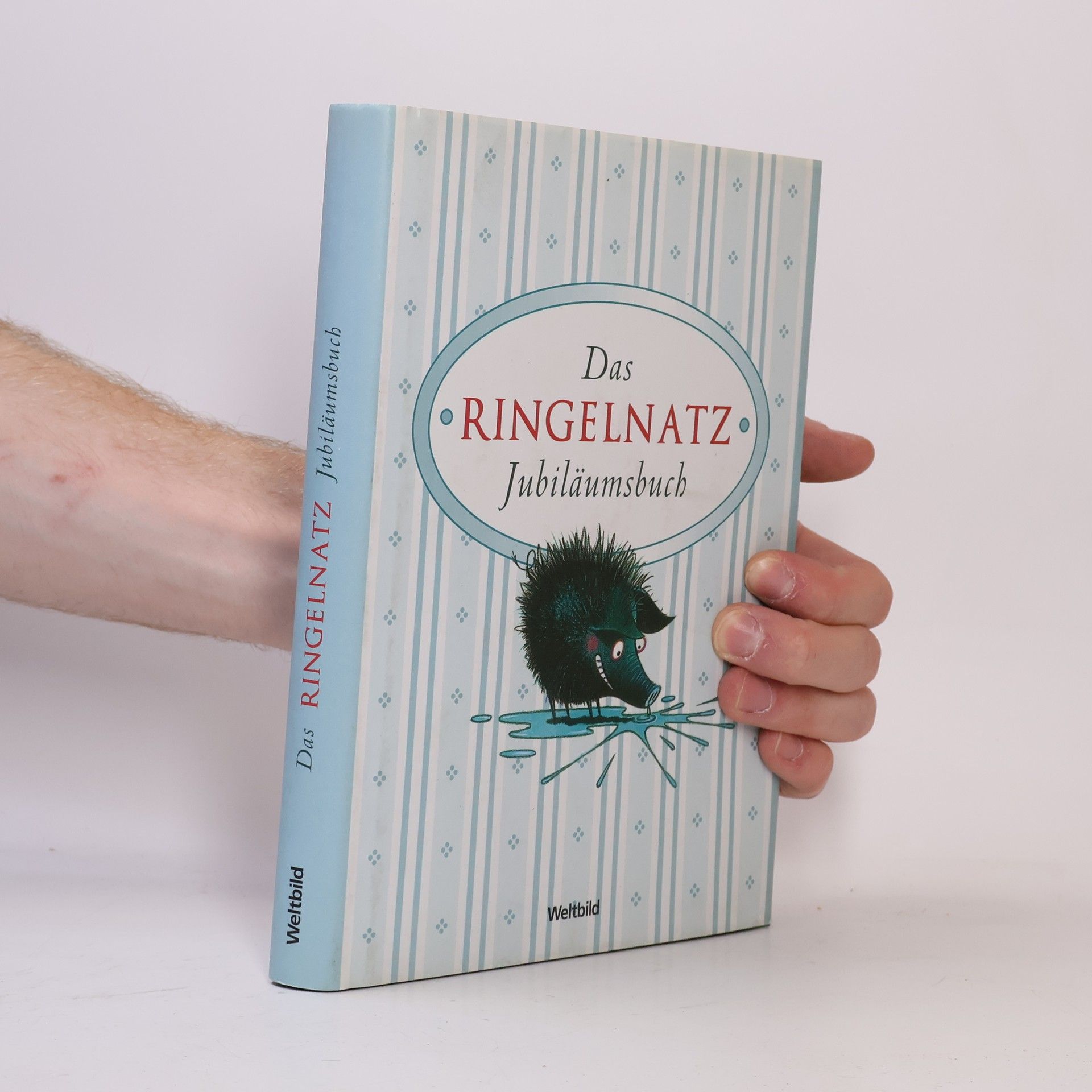 Autorenkollektiv Das Ringelnatz-Jubiläumsbuch