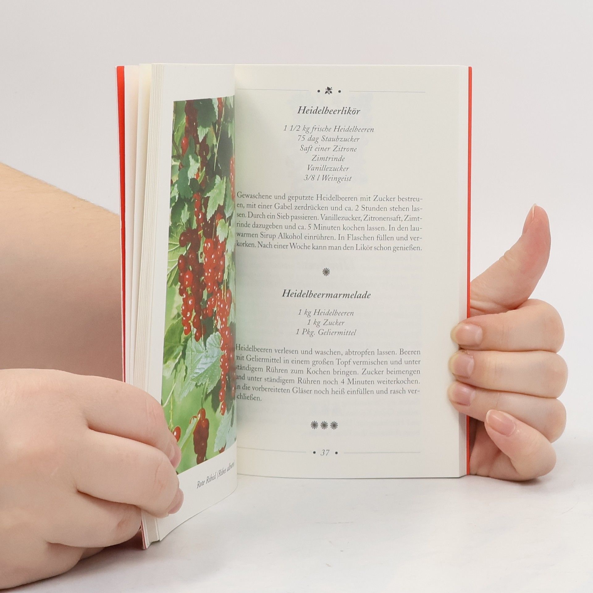 Autorenkollektiv Beeren: Köstliche Gerichte