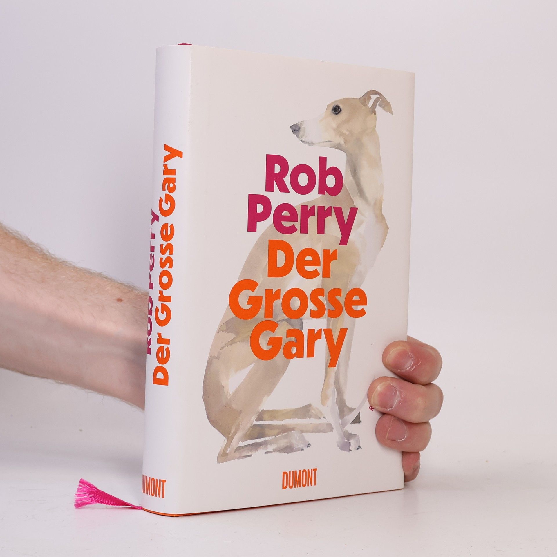 Rob Perry Der Große Gary: Roman