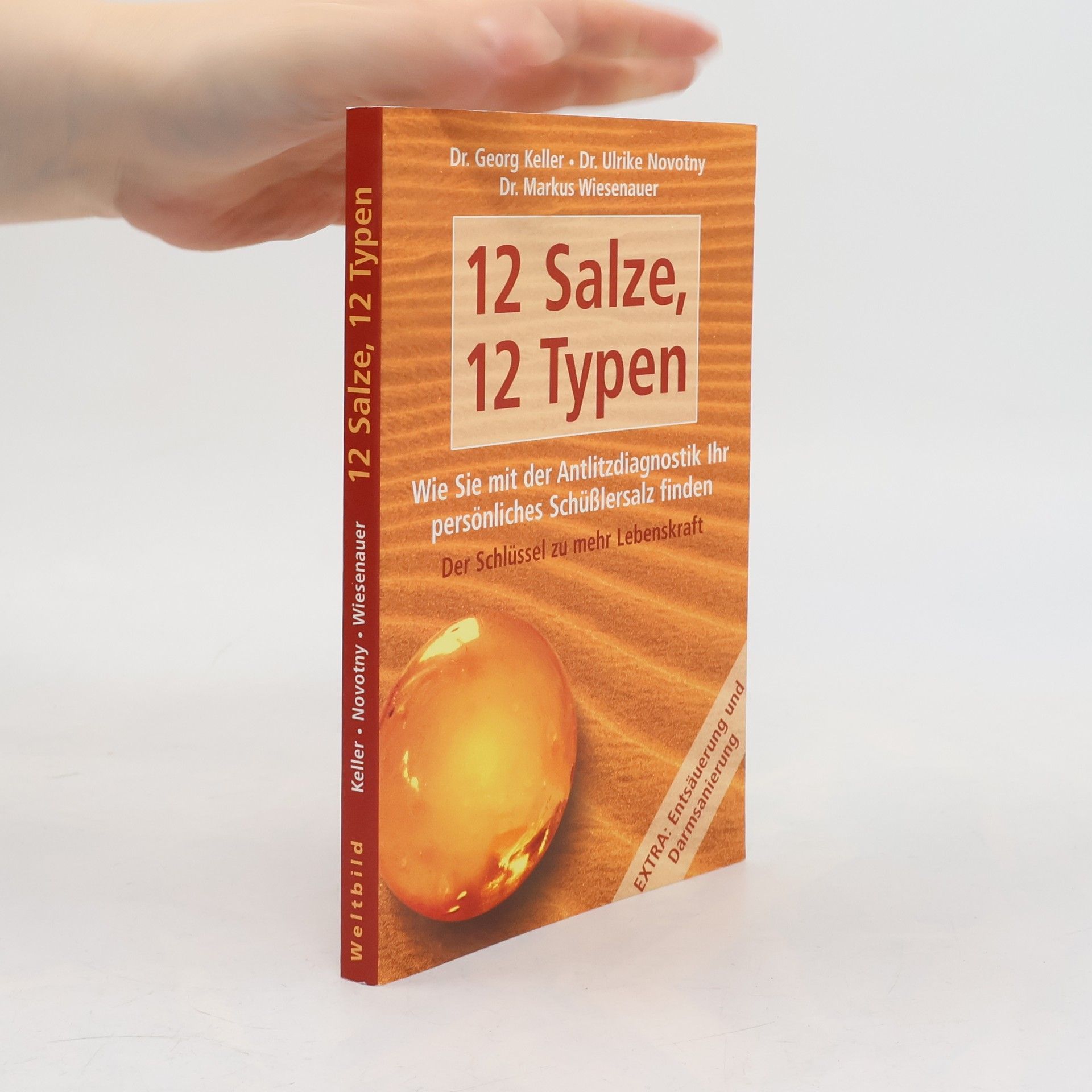 12 Salze, 12 Typen