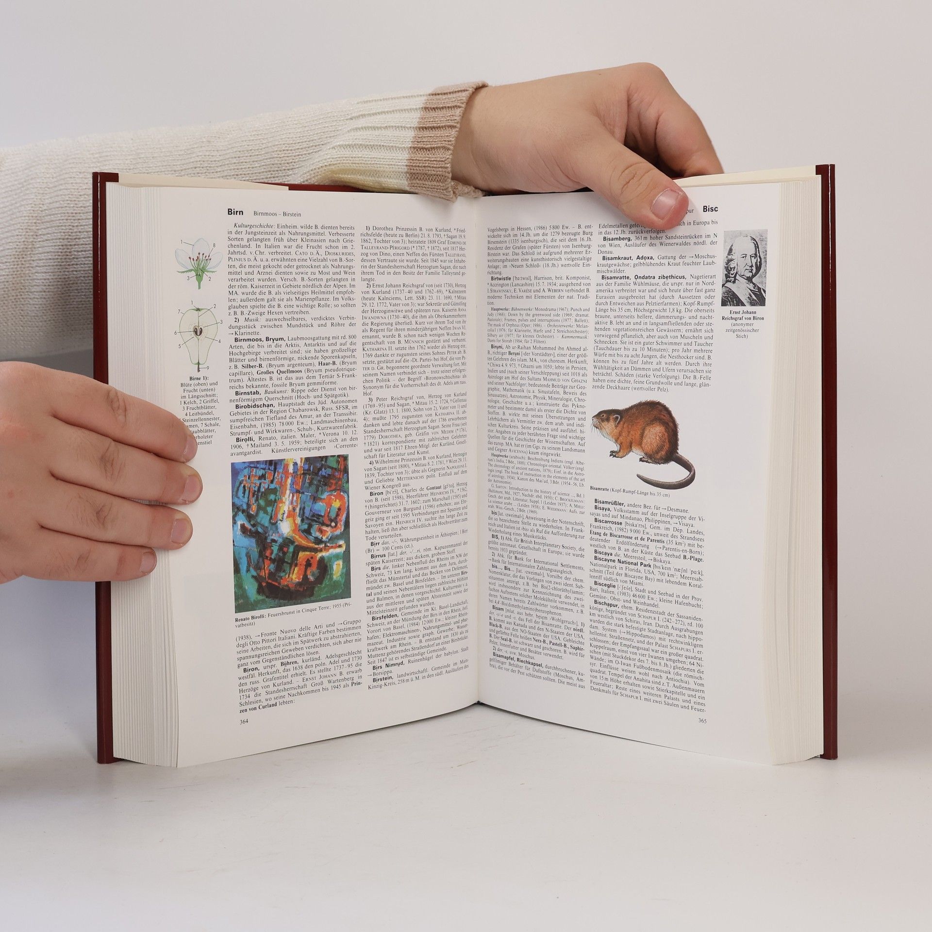 Autorenkollektiv Brockhaus Enzyklopädie 3. BED-BRN