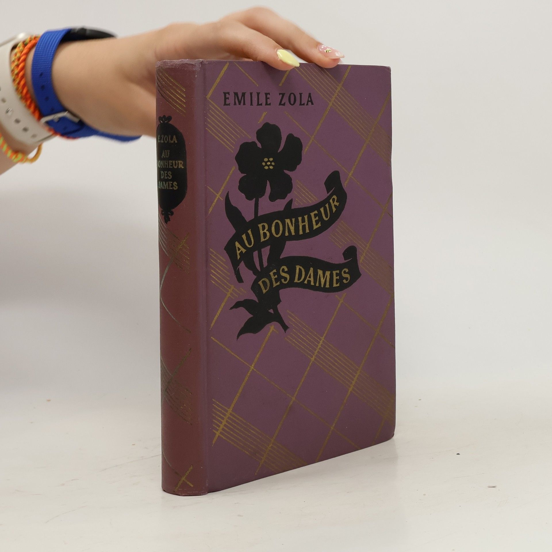 Émile Zola Au Bonheur des Dames