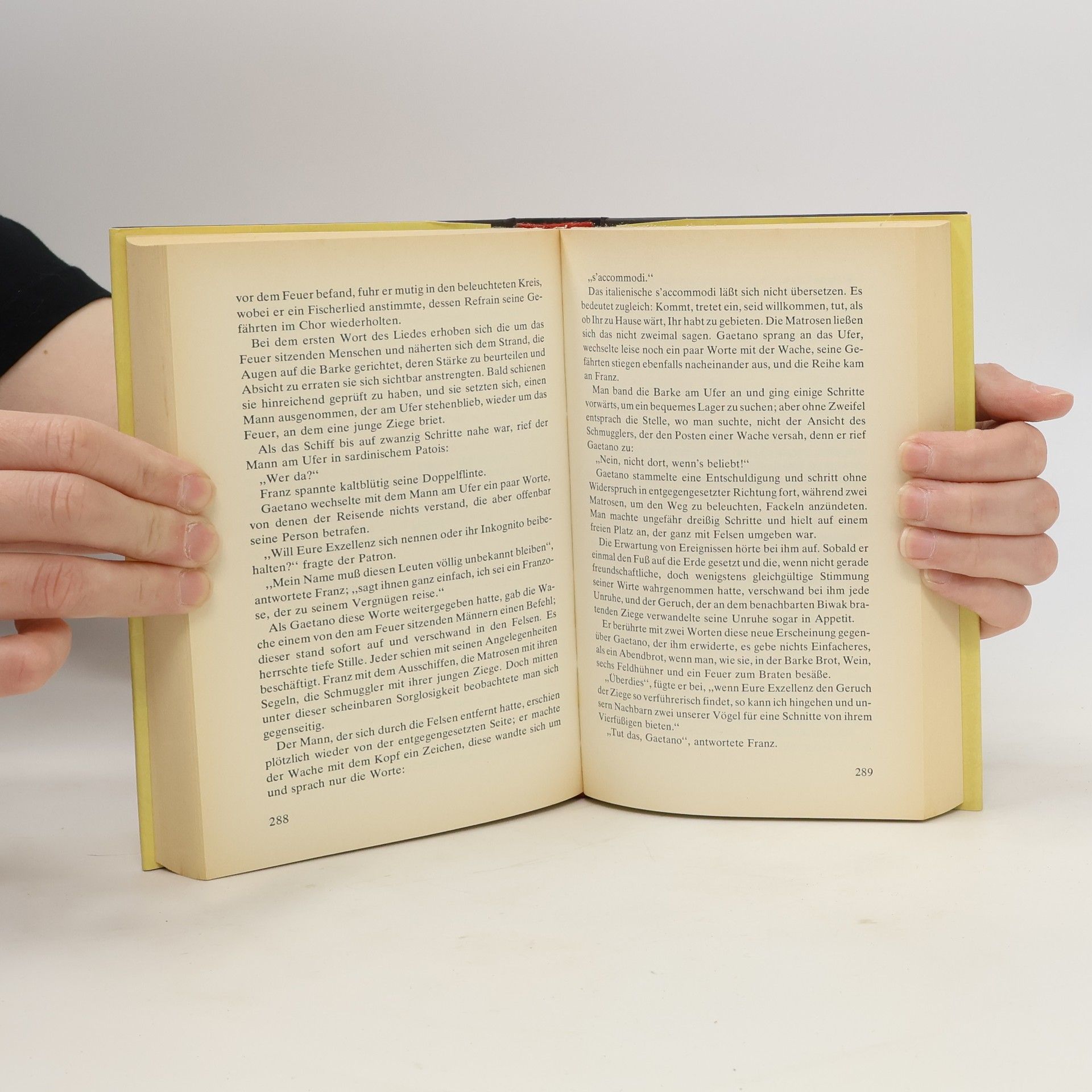 Alexandre Dumas der Ältere Der Graf von Monte Christo I