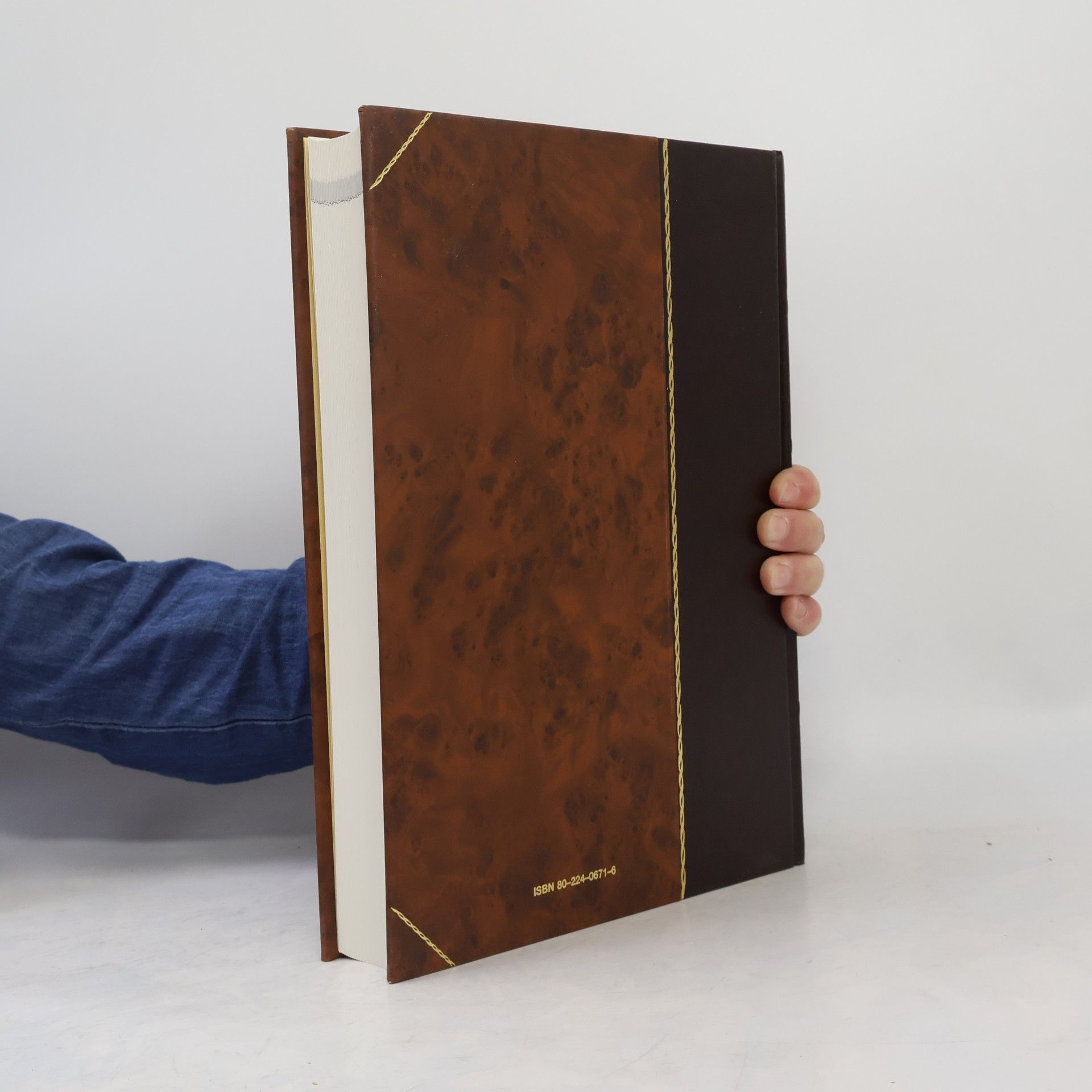 Kolektiv autorů Encyclopaedia Beliana 2. Bell-Czy