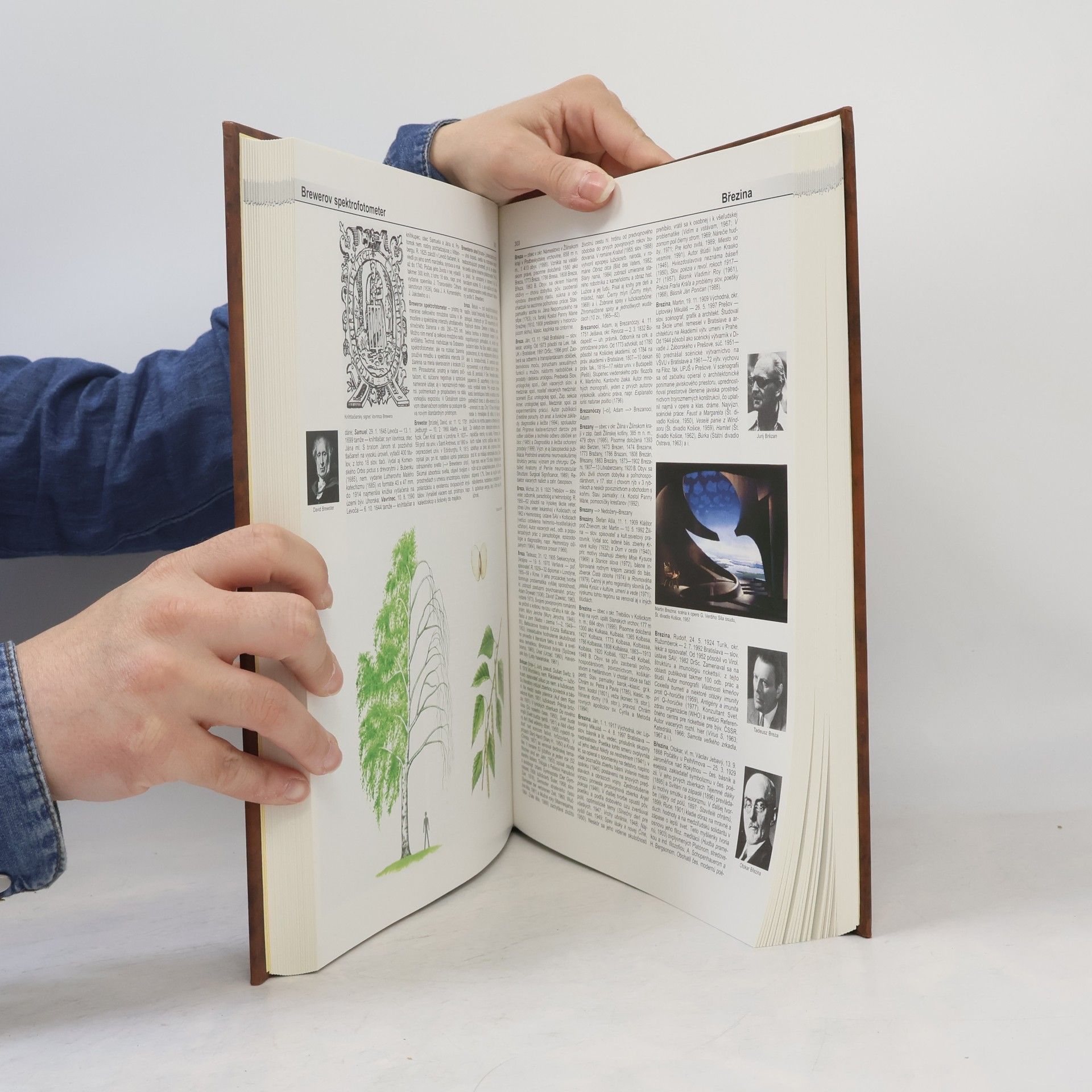 Kolektiv autorů Encyclopaedia Beliana 2. Bell-Czy