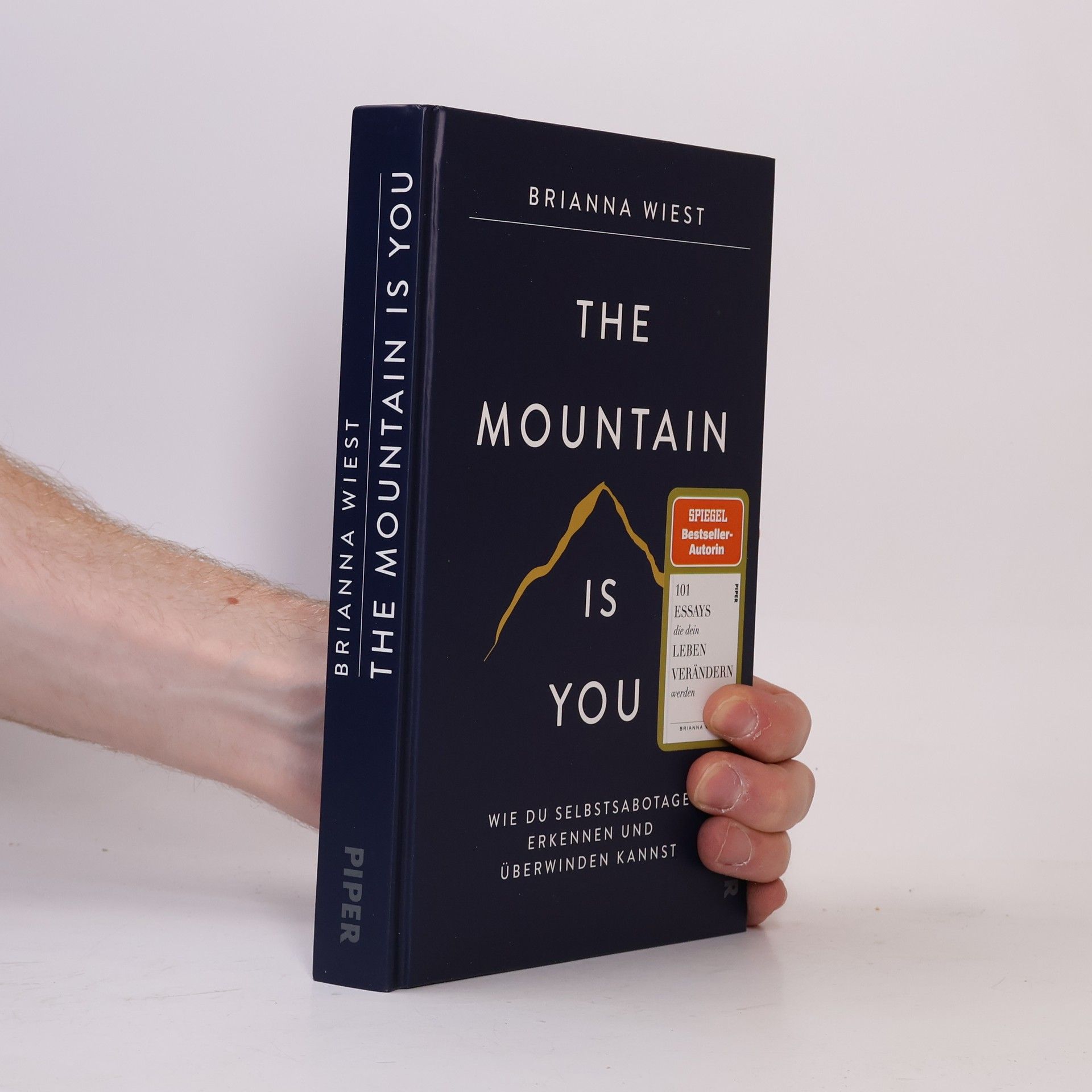 Brianna Wiest The Mountain Is You