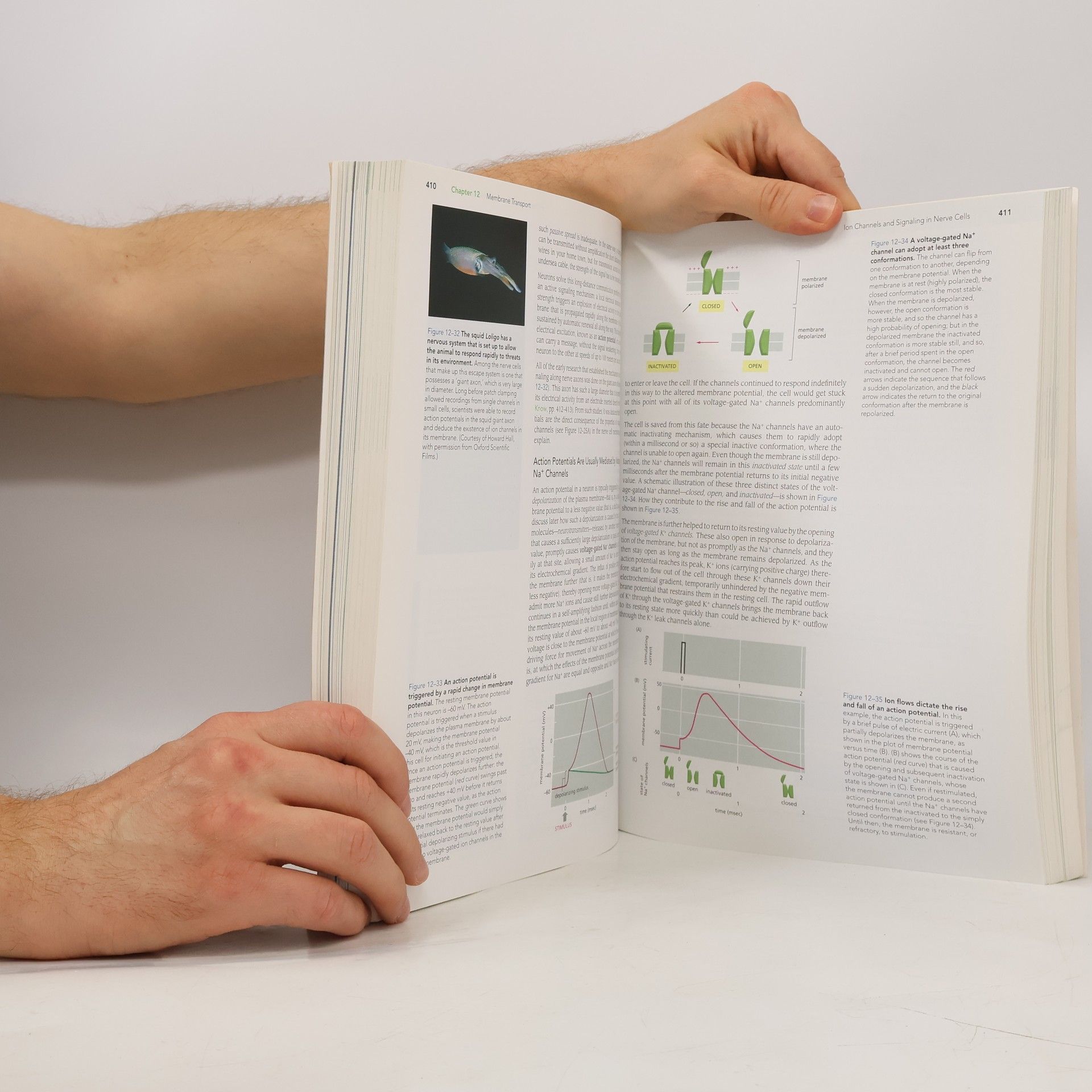 Bruce Alberts Essential cell biology