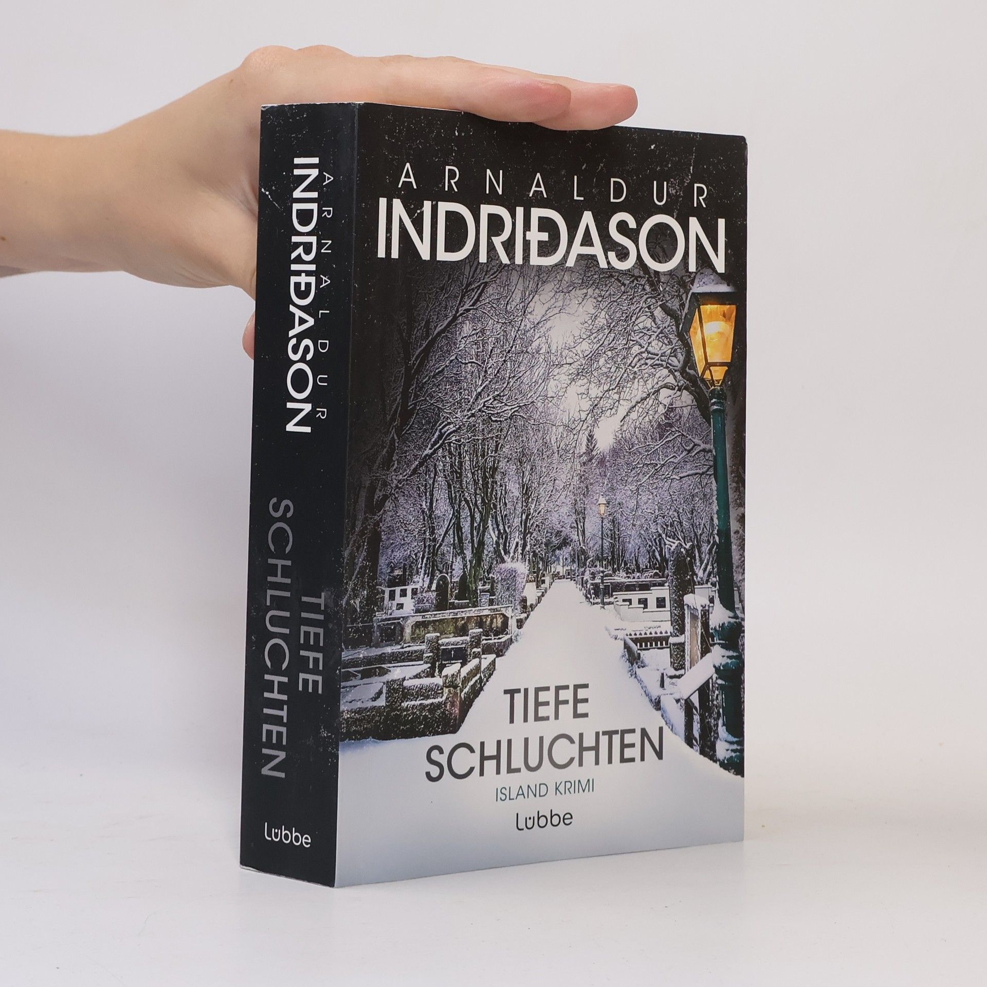 Arnaldur Indriðason Tiefe Schluchten
