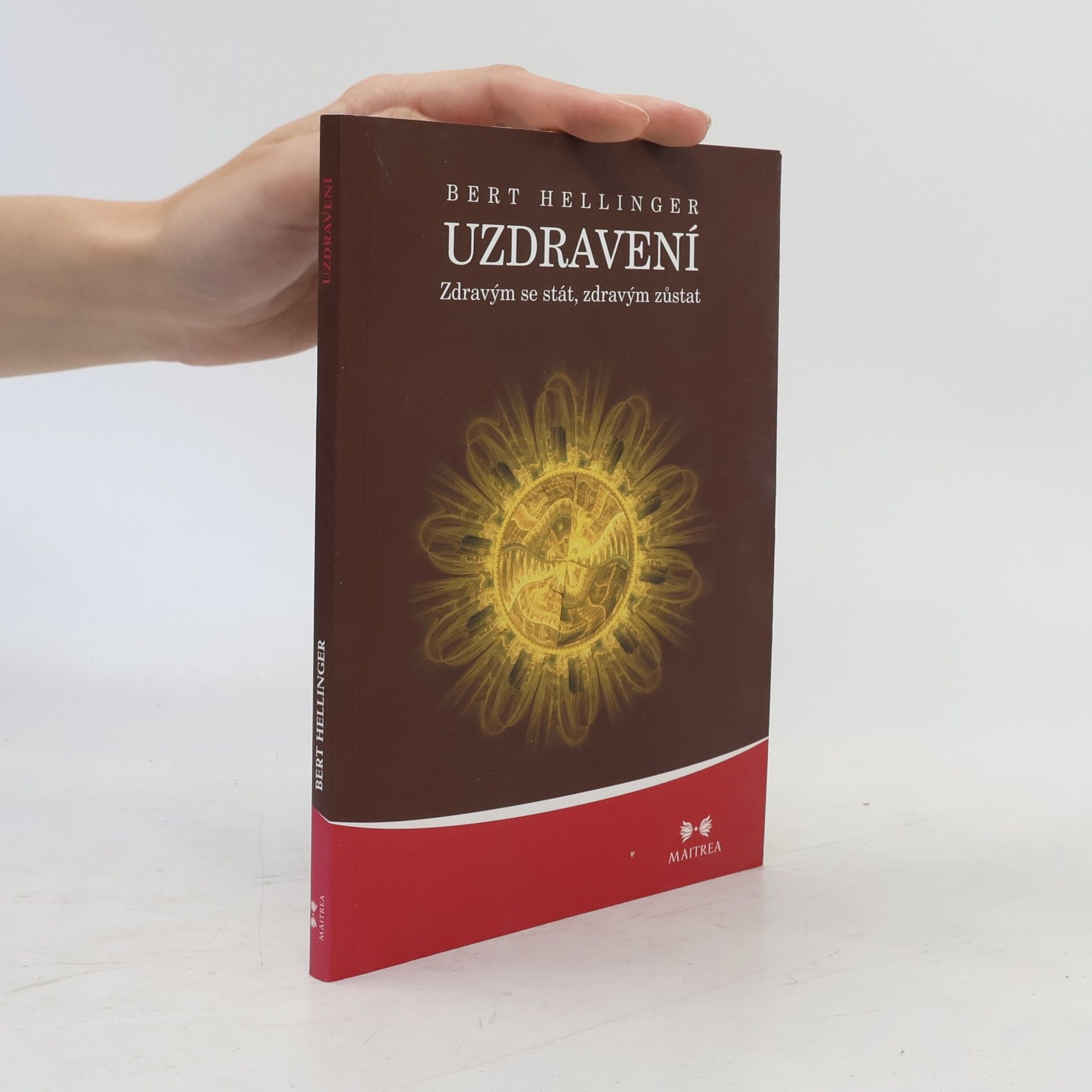 Bert Hellinger Uzdravení. Zdravým se stát, zdravým zůstat
