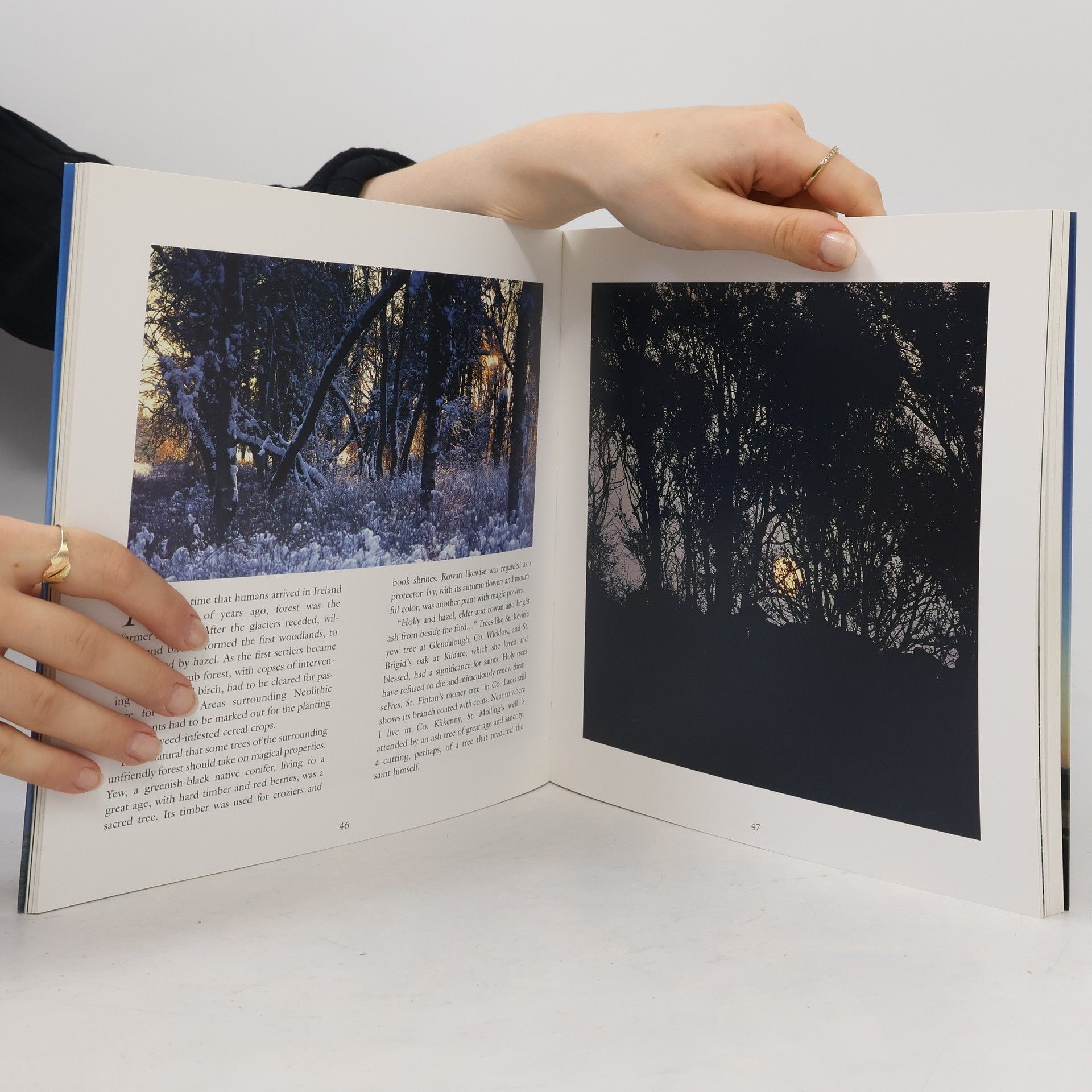 Tom Kelly Legendary Ireland