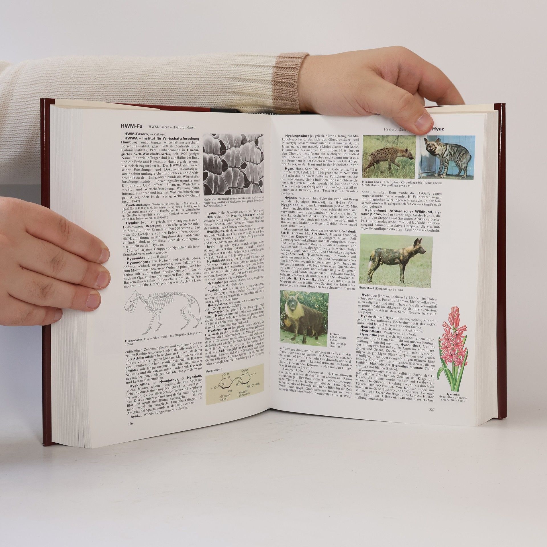 Autorenkollektiv Brockhaus Enzyklopädie 10 (HERR-IS)
