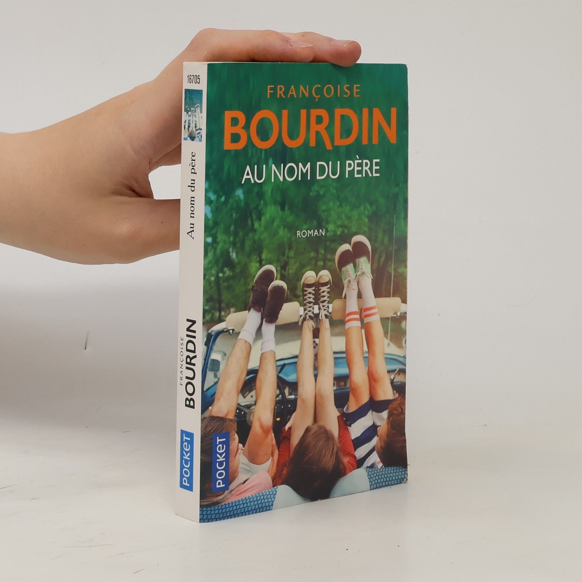 Françoise Bourdin Au nom du père
