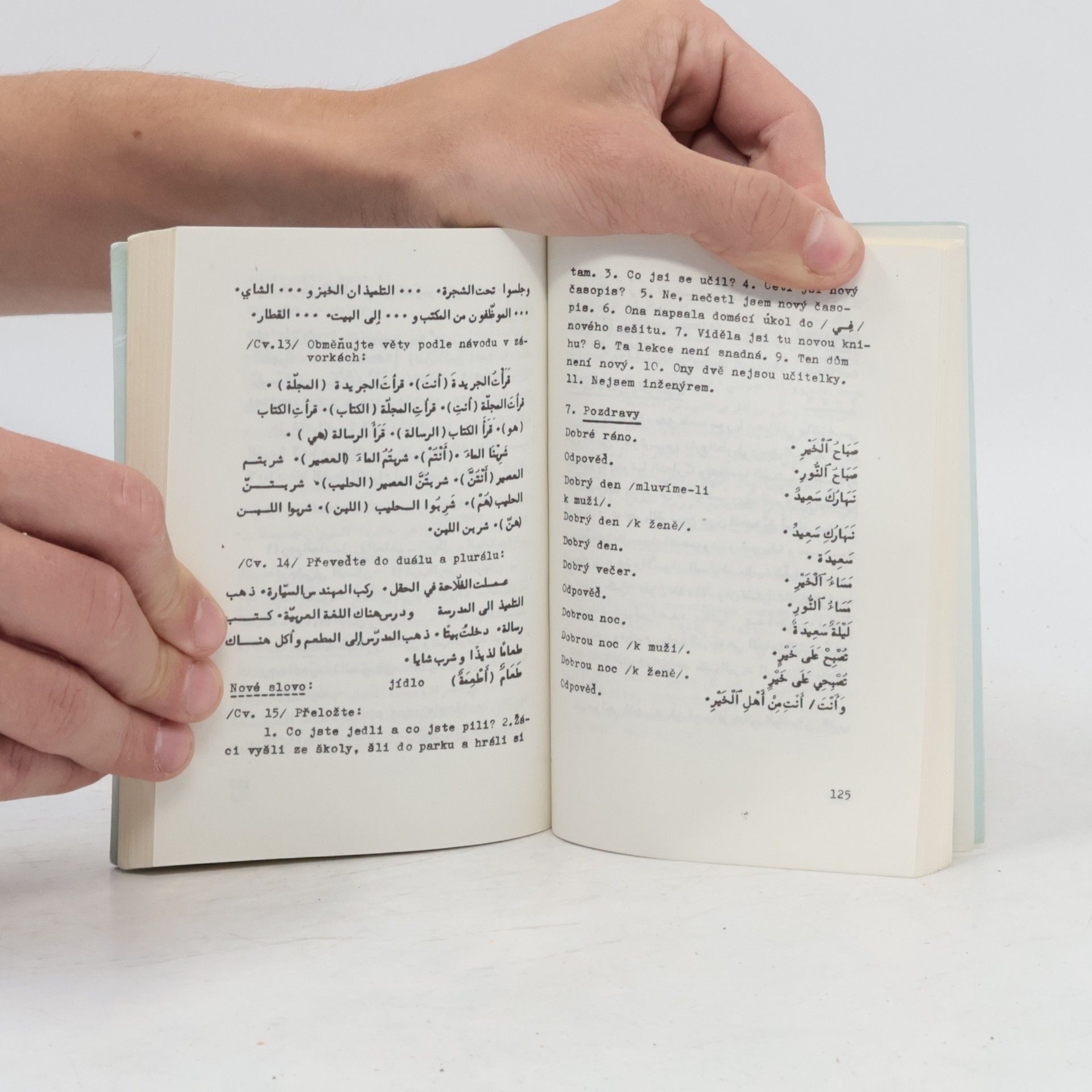 Franz-Josef Fleissig Základy moderní spisovné arabštiny