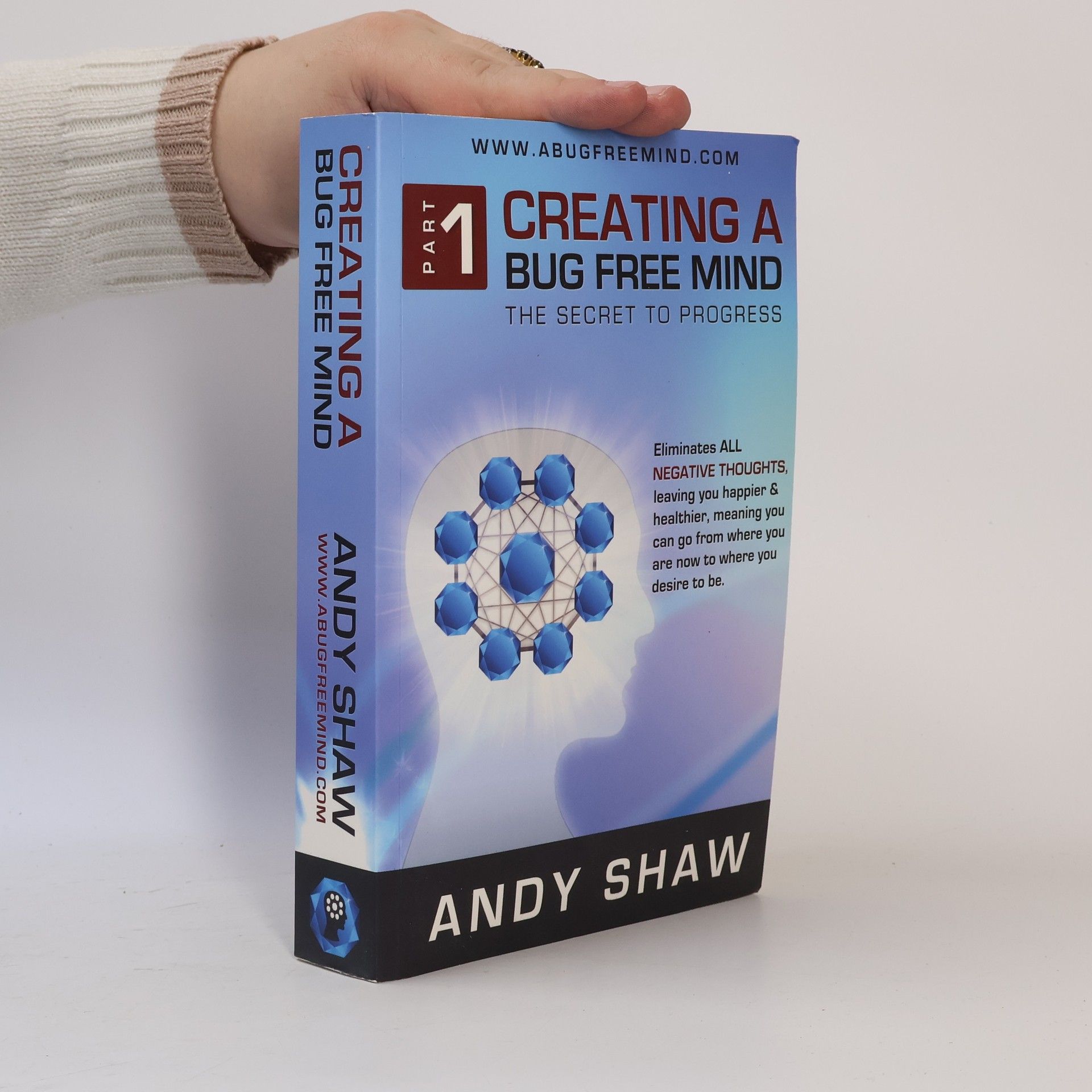 Andy Shaw Creating a Bug Free Mind