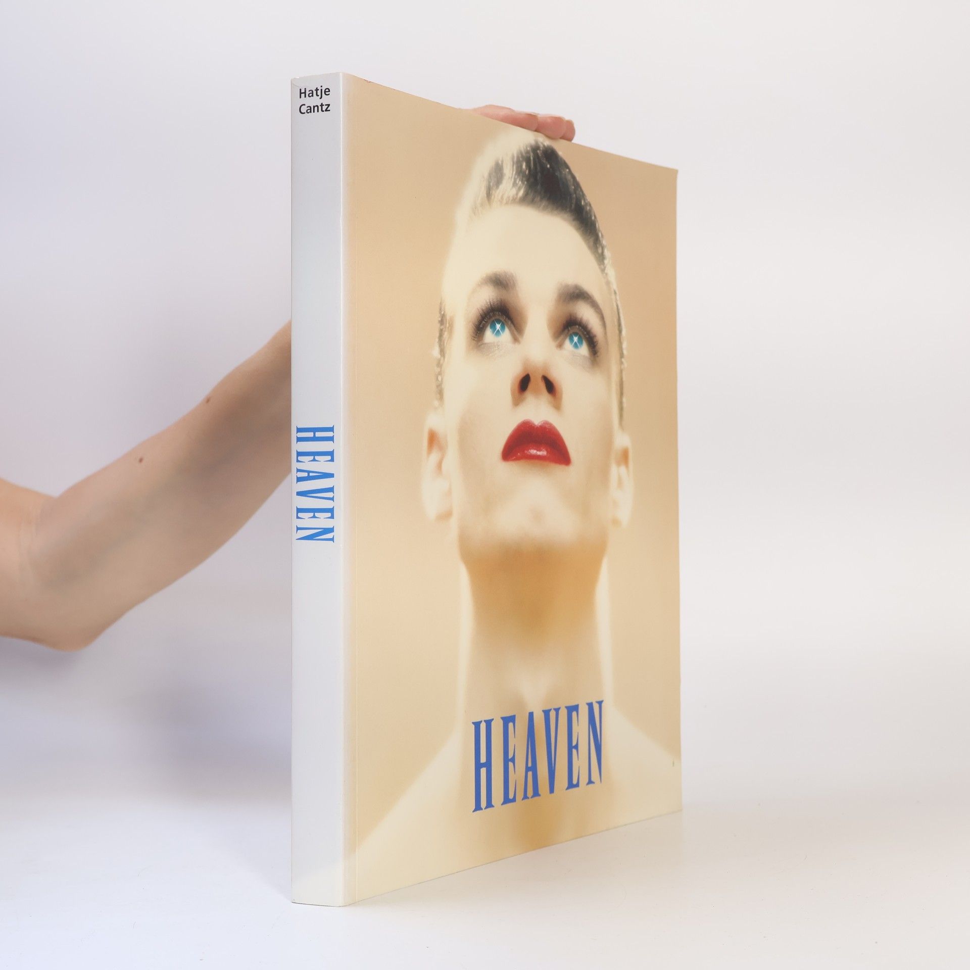 Doreet Le Vitte Harten Heaven