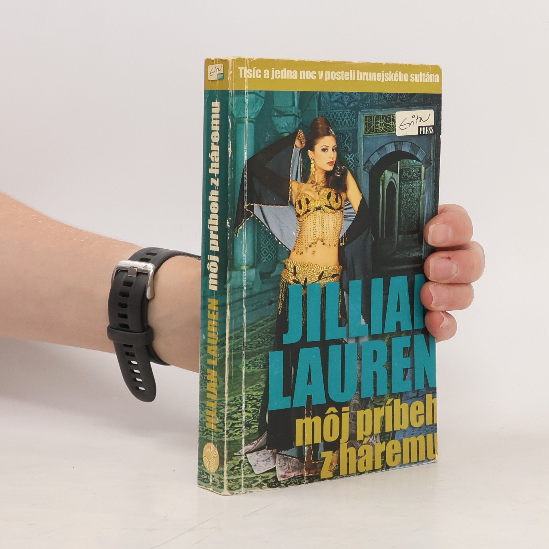 Jillian Lauren Môj príbeh z háremu