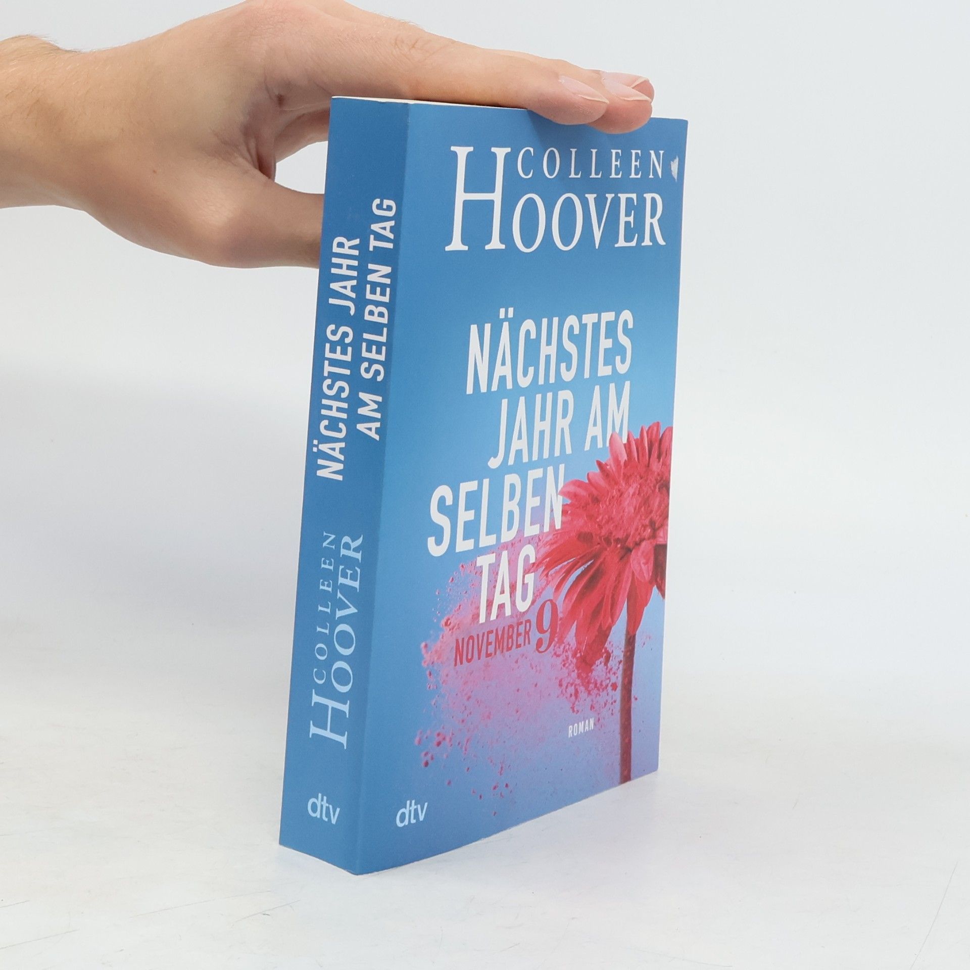 Colleen Hoover Nächstes Jahr am selben Tag