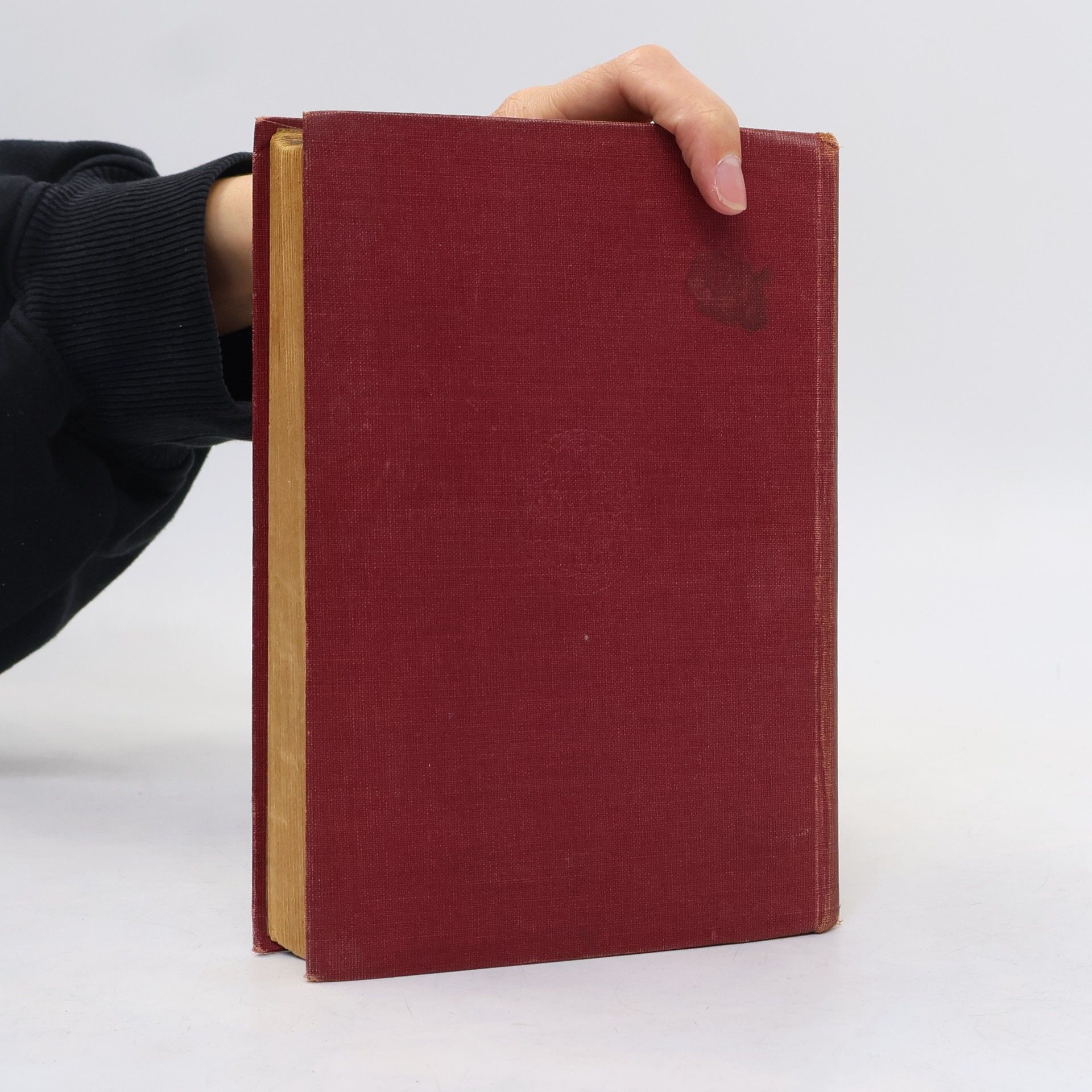 Oscar Wilde Das Bildnis des Dorian Gray