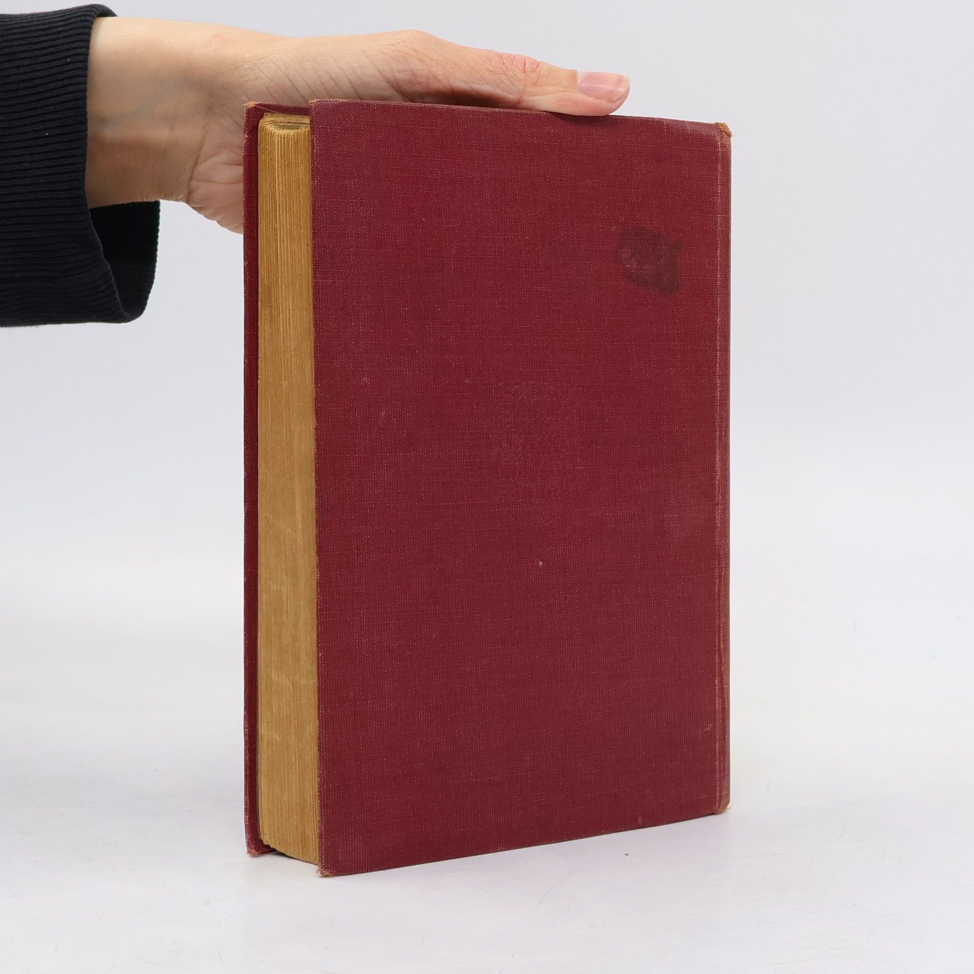Oscar Wilde Das Bildnis des Dorian Gray