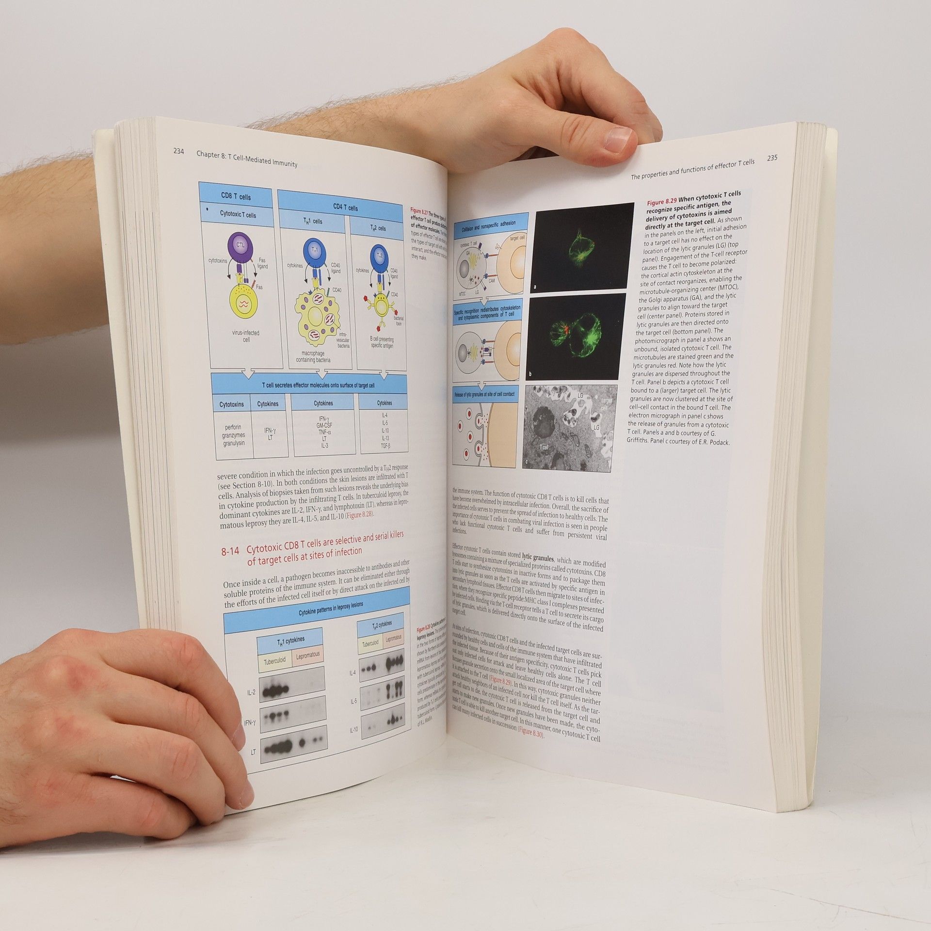 P. Peter Parham The immune system